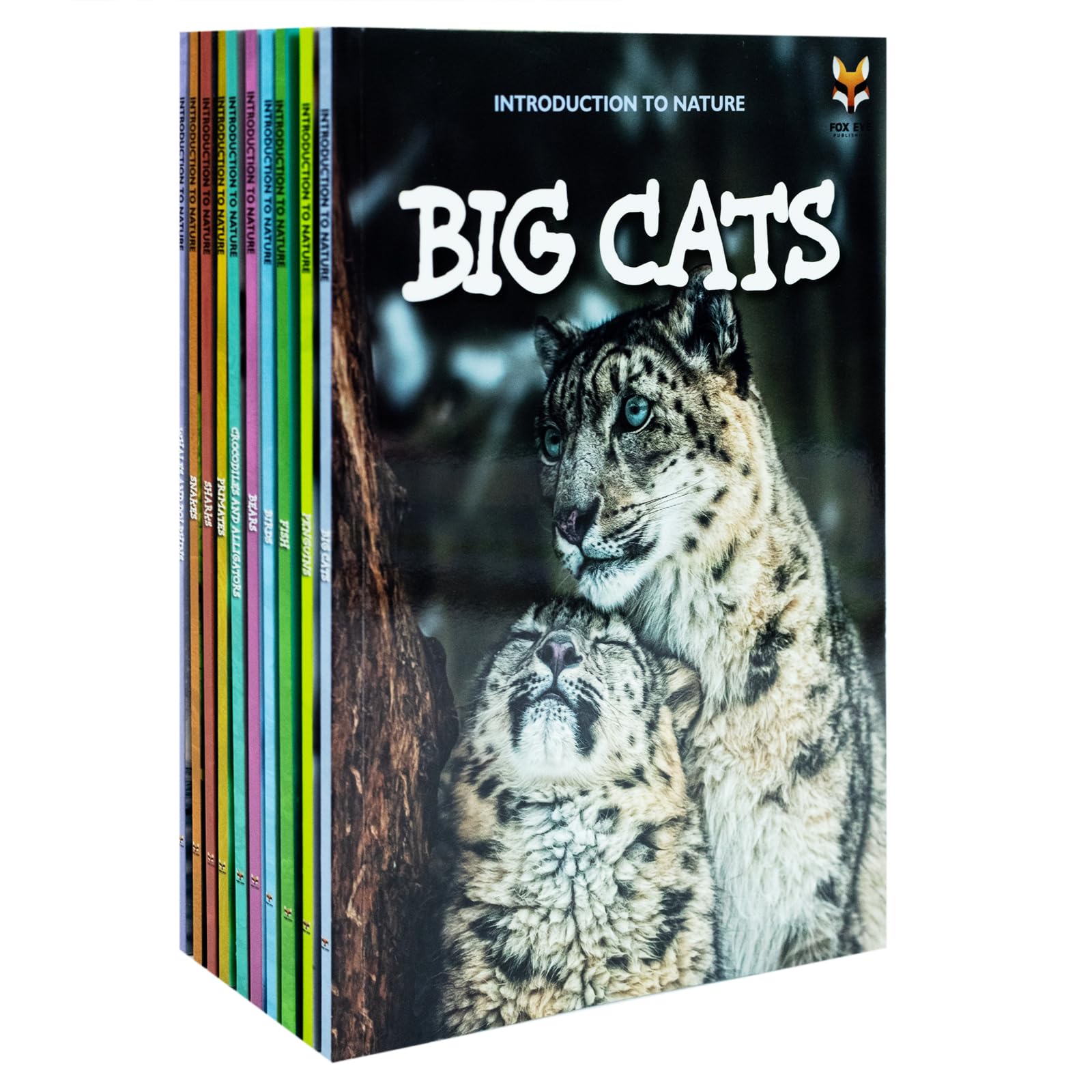 Introduction to Nature set - Bears, Big Cats, Birds and Crocodiles and Alligators paperback covers on display