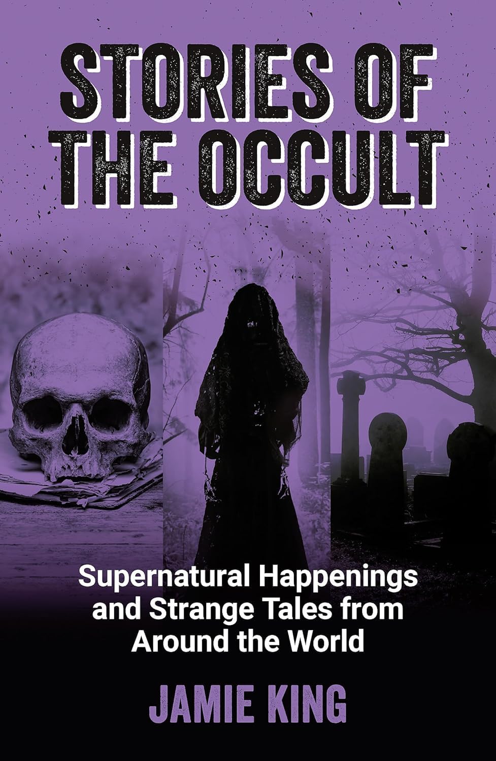 Jamie King 6 Books Collection Set paperback - book 5 cover - Urban Legends