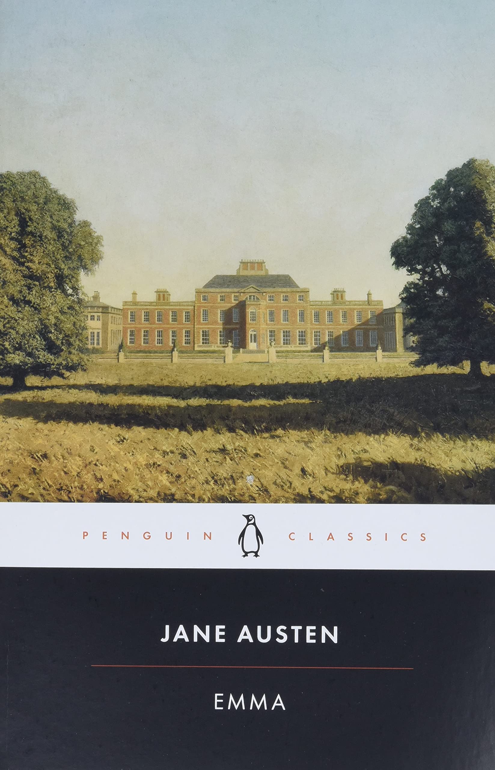 Close-up of Emma and Persuasion paperback covers from the Jane Austen 7 books collection set