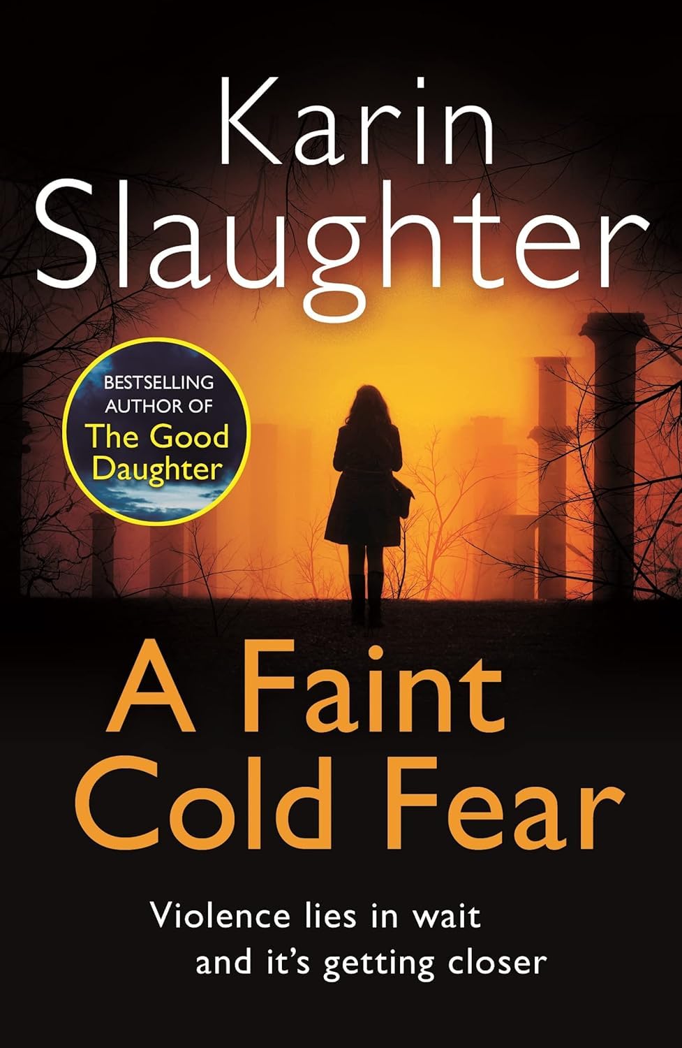 Karin Slaughter Will Trent and Grant County 9 Books Collection Set, paperback — close-up of Fallen paperback cover