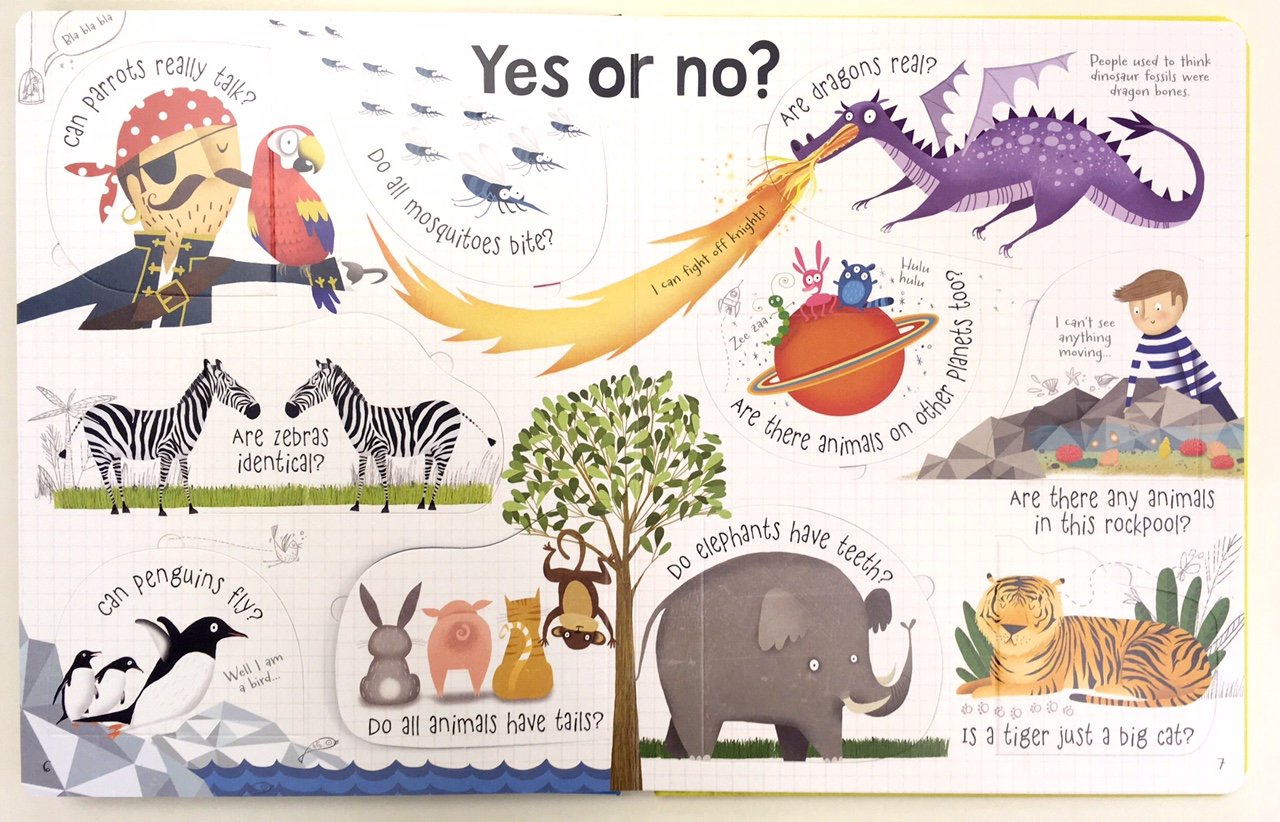 Open inside page spread from a Lift-the-Flap Questions and Answers book showing lifted flaps and illustrations