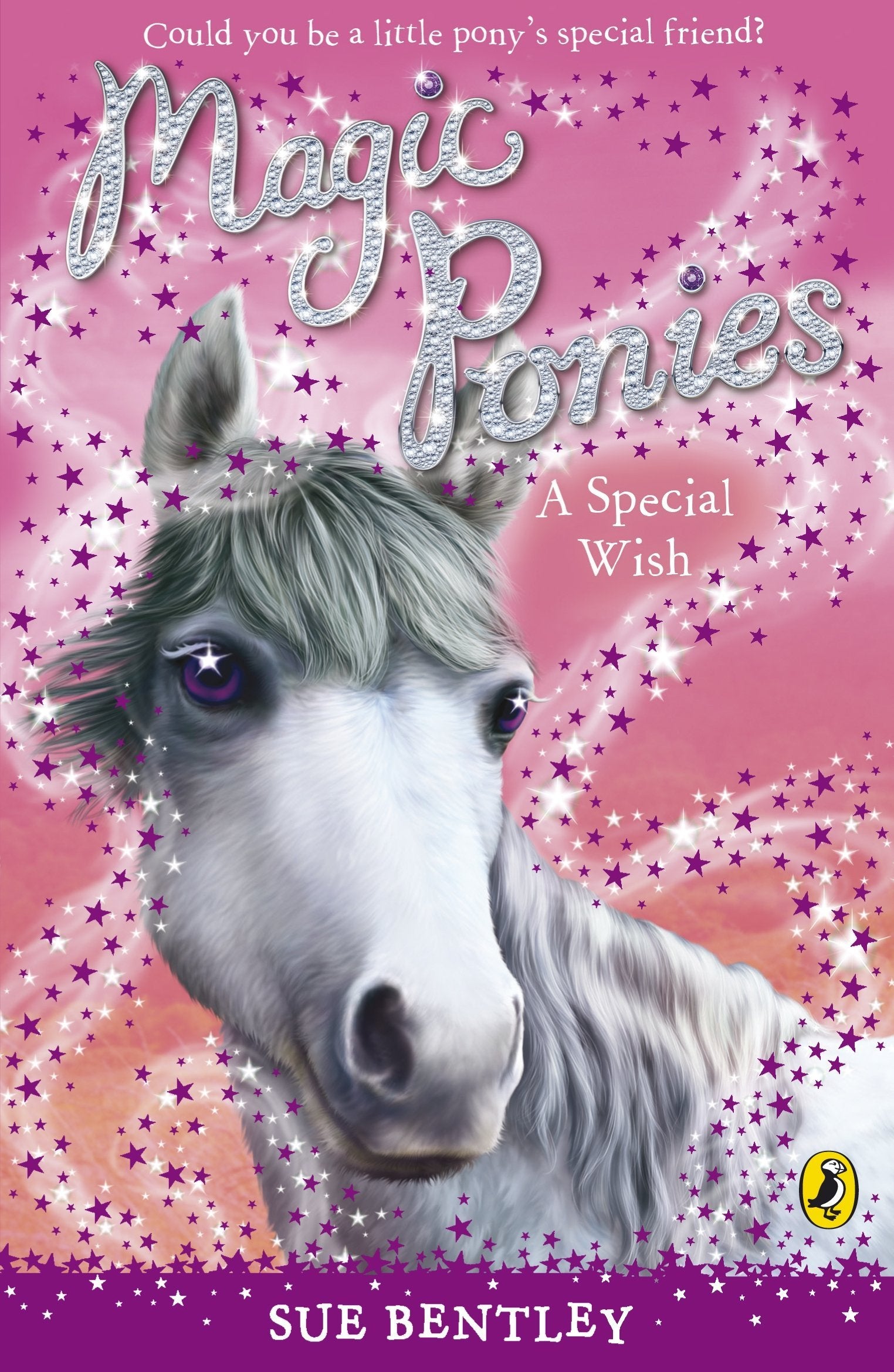 Angled view of the Magic Ponies paperback book set by Sue Bentley showing back cover blurbs and colorful spines