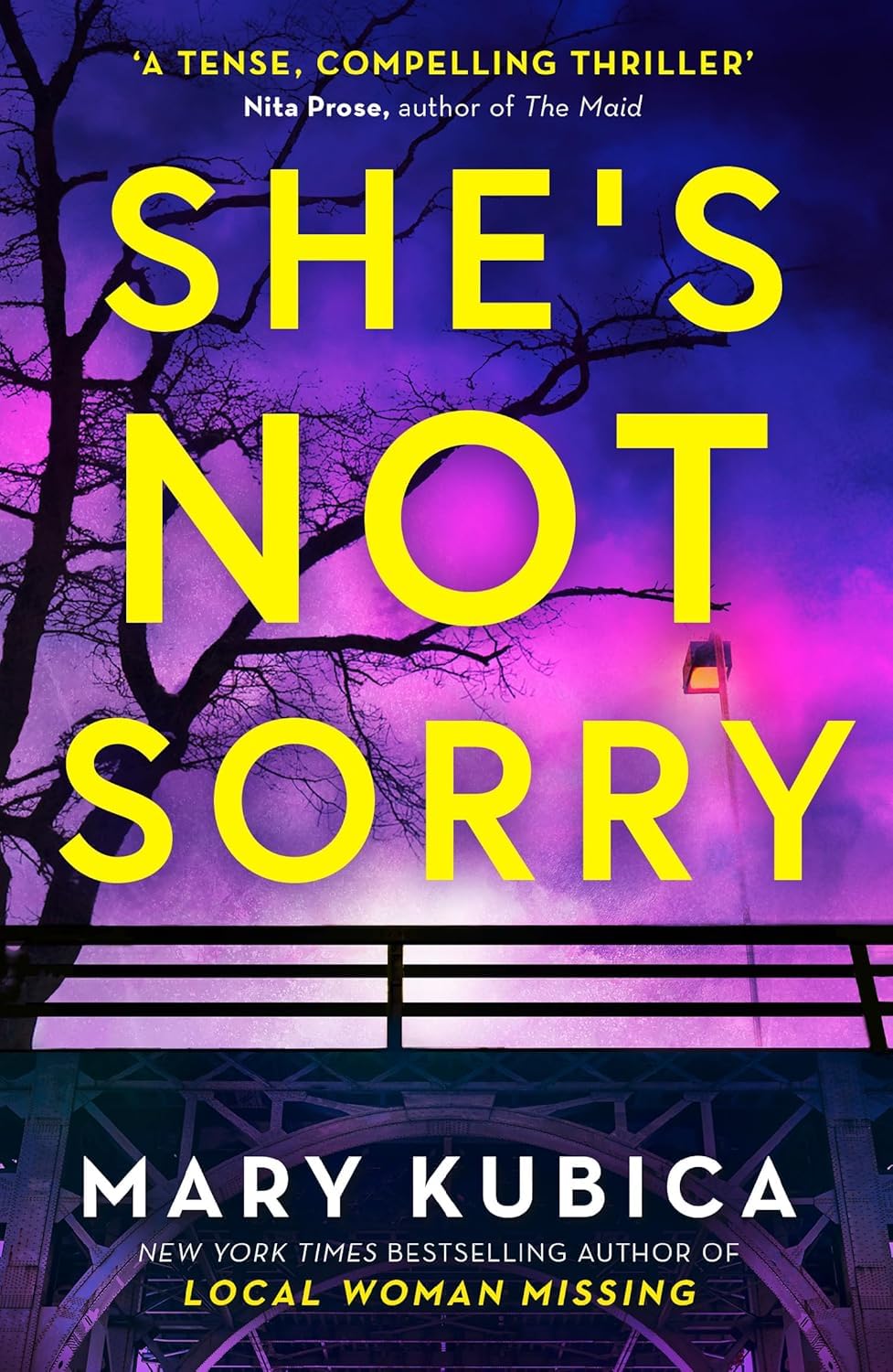 Close-up front cover of She's Not Sorry by Mary Kubica paperback thriller