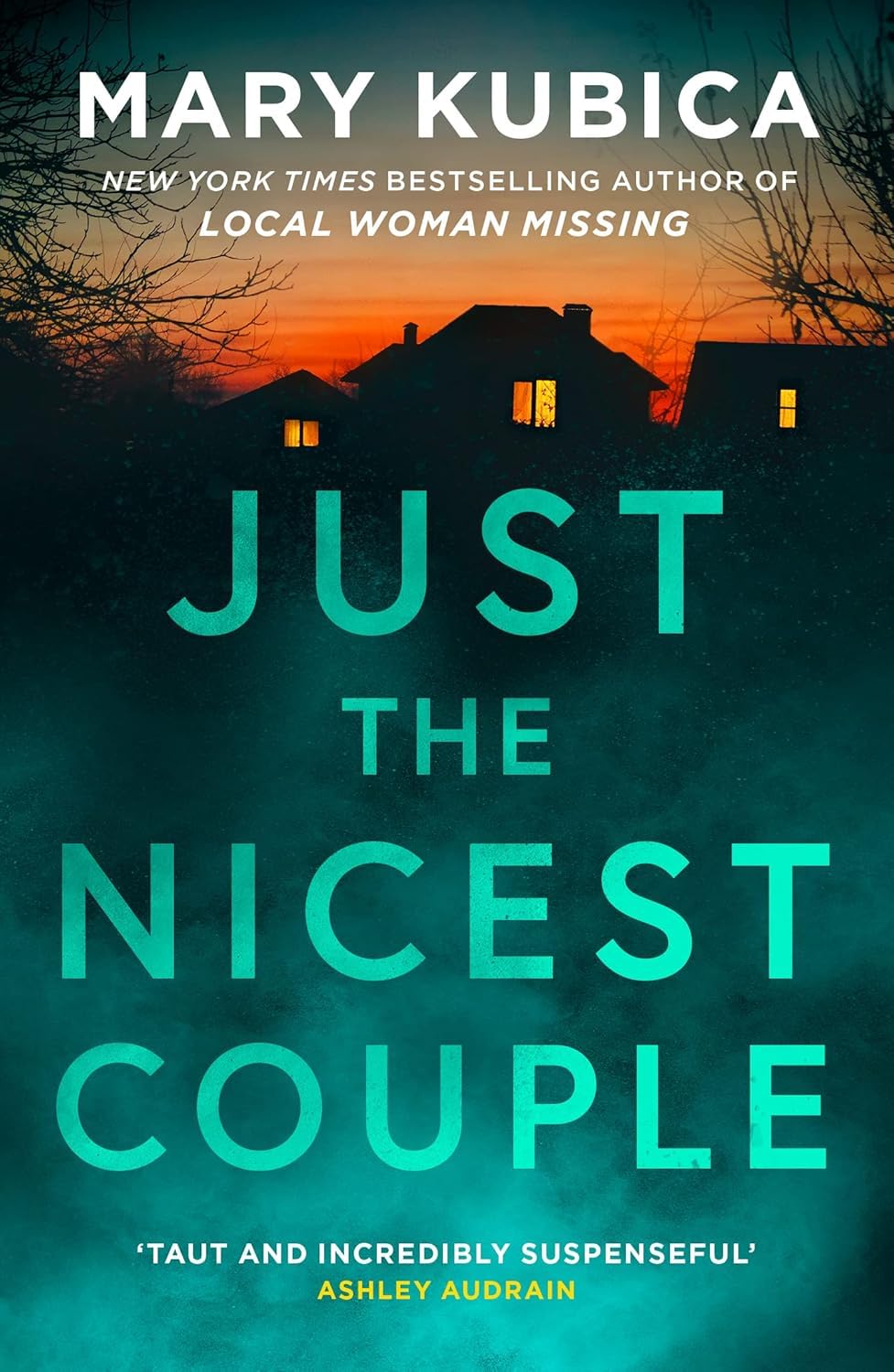 Close-up front cover of Just The Nicest Couple by Mary Kubica paperback thriller