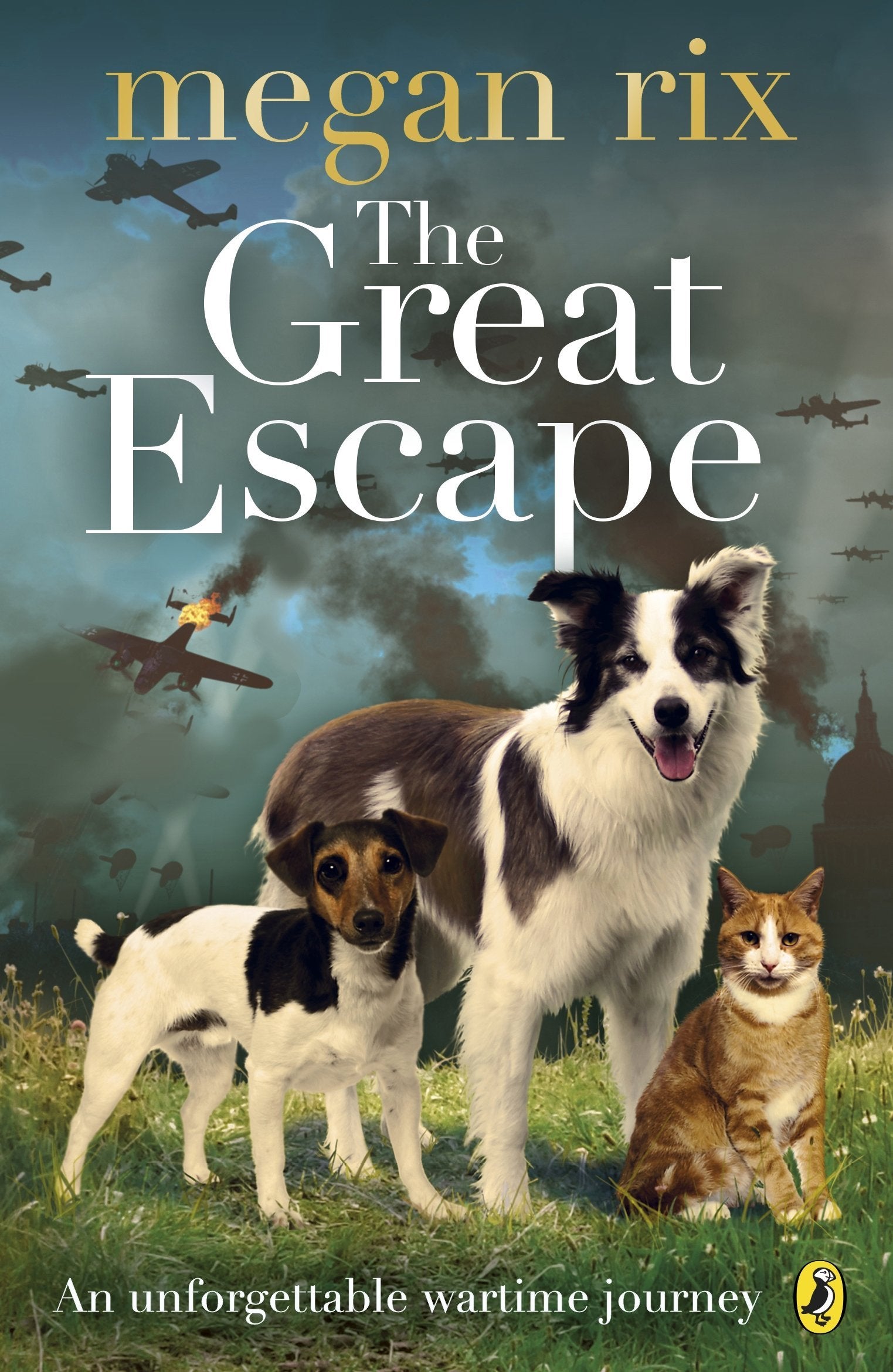 Close-up of The Great Fire Dogs and Echo Come Home paperback covers from the Megan Rix set