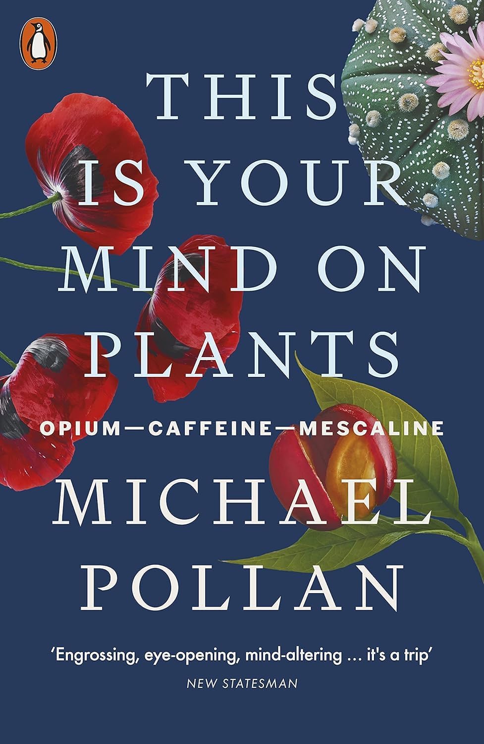 All three Michael Pollan paperback books fanned out together showing How to Change Your Mind, This Is Your Mind on Plants, and In Defence of Food spines and covers