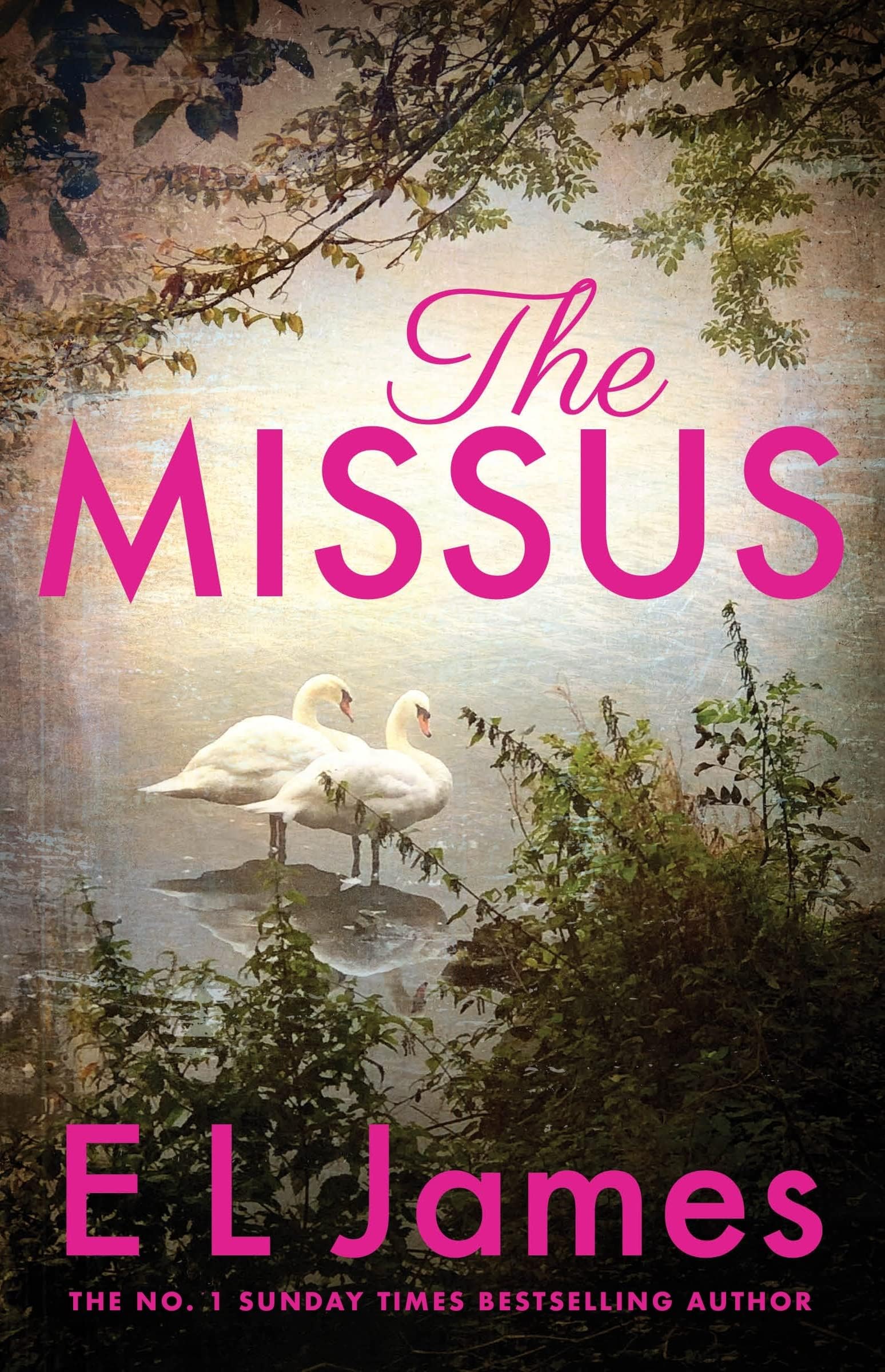 The Mister and The Missus 2 book set by E L James fanned out showing spines