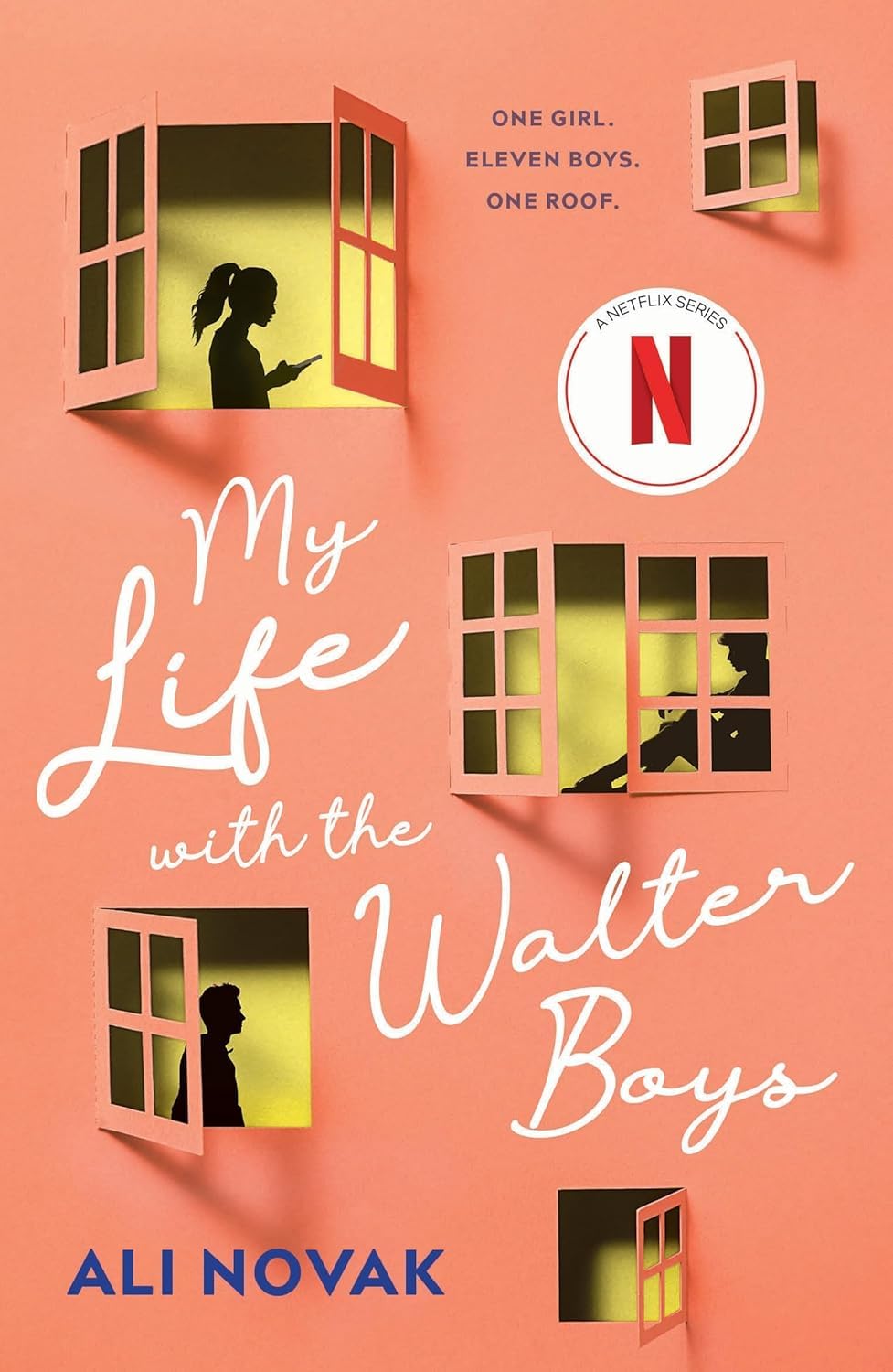 Close-up of the My Life with the Walter Boys and My Return to the Walter Boys paperback covers by Ali Novak, highlighting the colorful young adult cover art