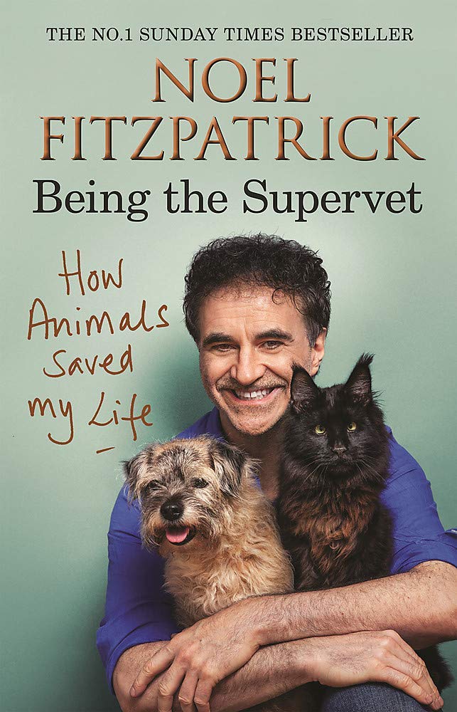 Front cover of How to Have A Happy Cat paperback pet care guide