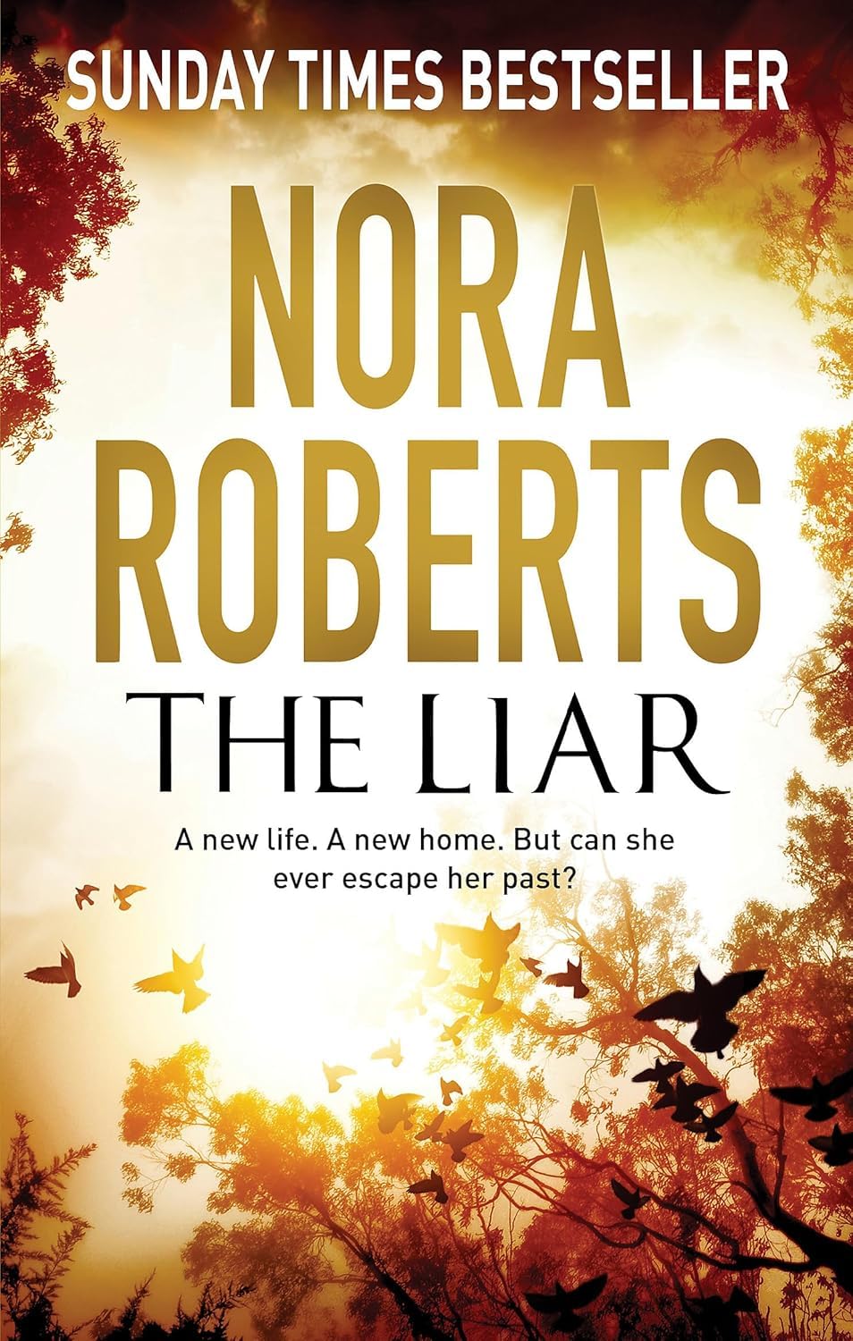 Chasing Fire paperback cover shown alongside other titles in the Nora Roberts 5 book set