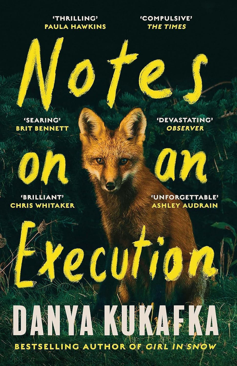 Back cover synopsis and reviews for Danya Kukafka's Notes on an Execution and Girl in Snow paperback set