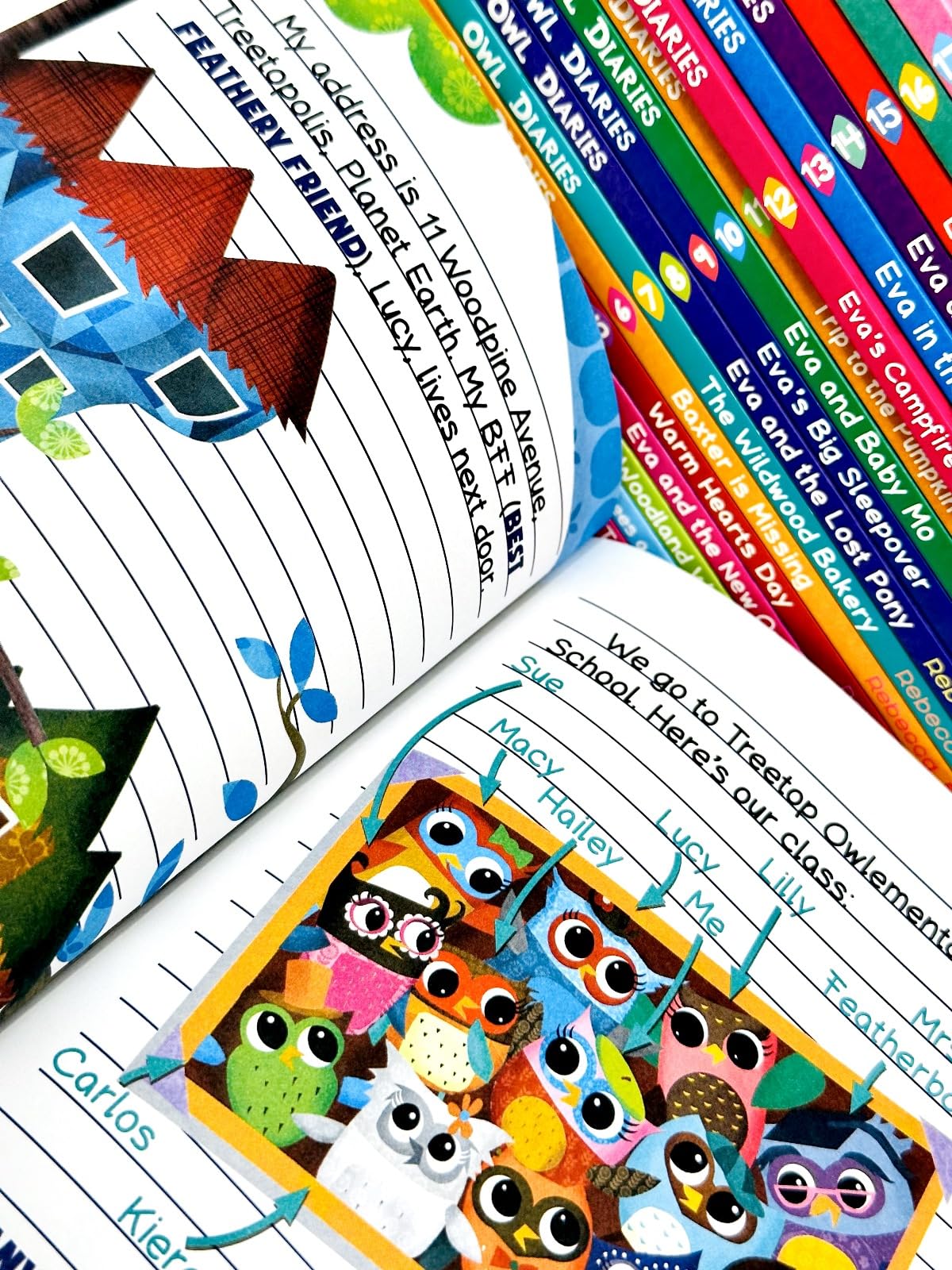 Angled group shot of the complete Owl Diaries paperback collection by Rebecca Elliott, featuring bright full-color owl illustrations on every cover.