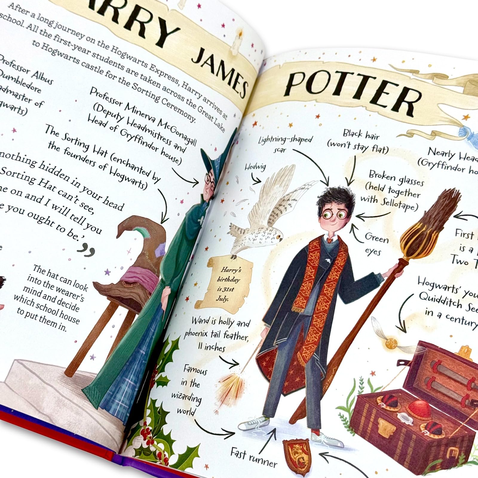 Close-up of the Pocket Potters: Harry Potter hardcover book cover