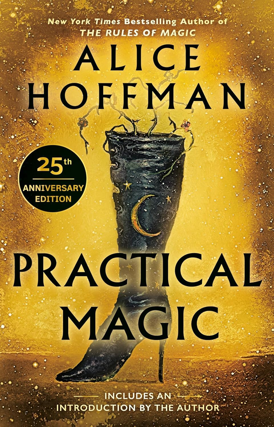 Overhead view of the complete Practical Magic Series 4-book paperback set by Alice Hoffman