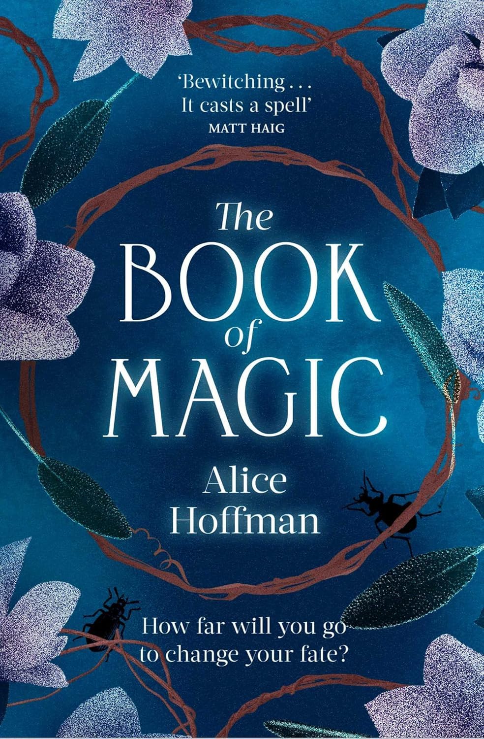 Practical Magic Series 4-book paperback collection by Alice Hoffman styled as a gift set display
