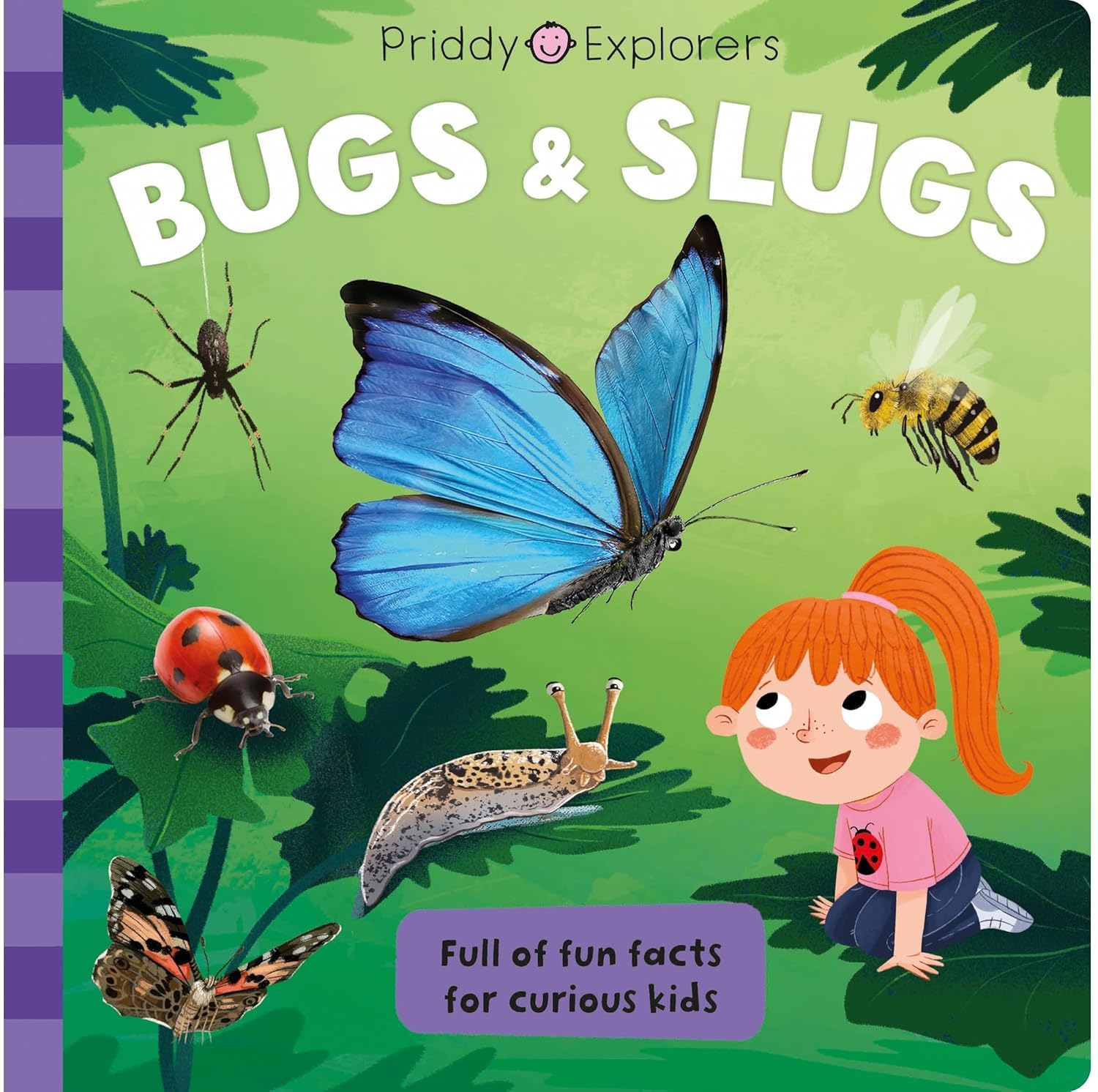 Priddy Explorers Dinosaurs board book cover with prehistoric creature illustrations