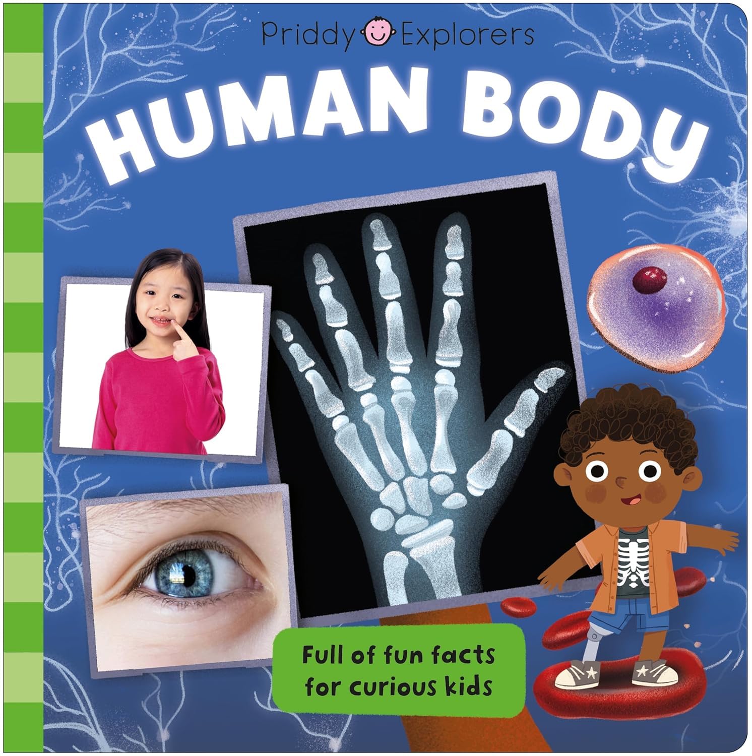 Priddy Explorers Human Body board book cover showing anatomy illustrations for kids