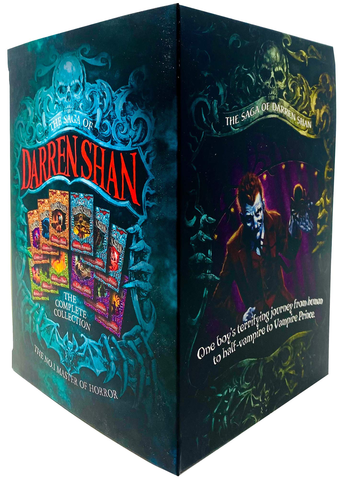 All 12 paperback titles in The Saga of Darren Shan collection fanned out, showing Cirque du Freak through Sons of Destiny covers