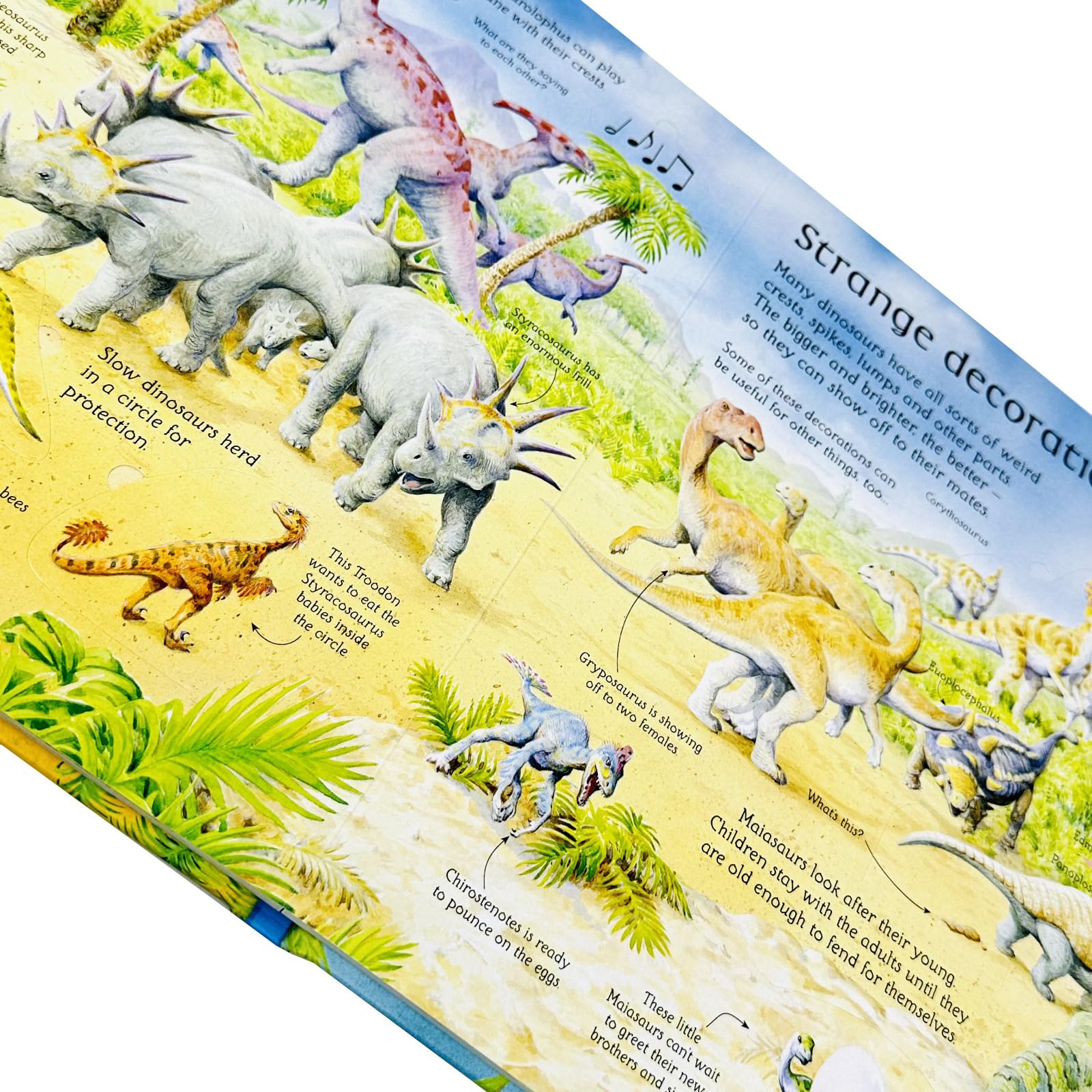 Back cover of See Inside 5 Books Collection Set showing series description and board book format
