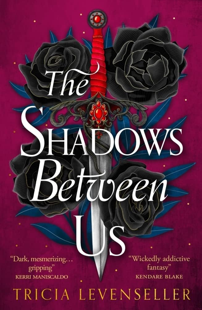 Front cover of The Darkness Within Us by Tricia Levenseller, young adult fantasy paperback