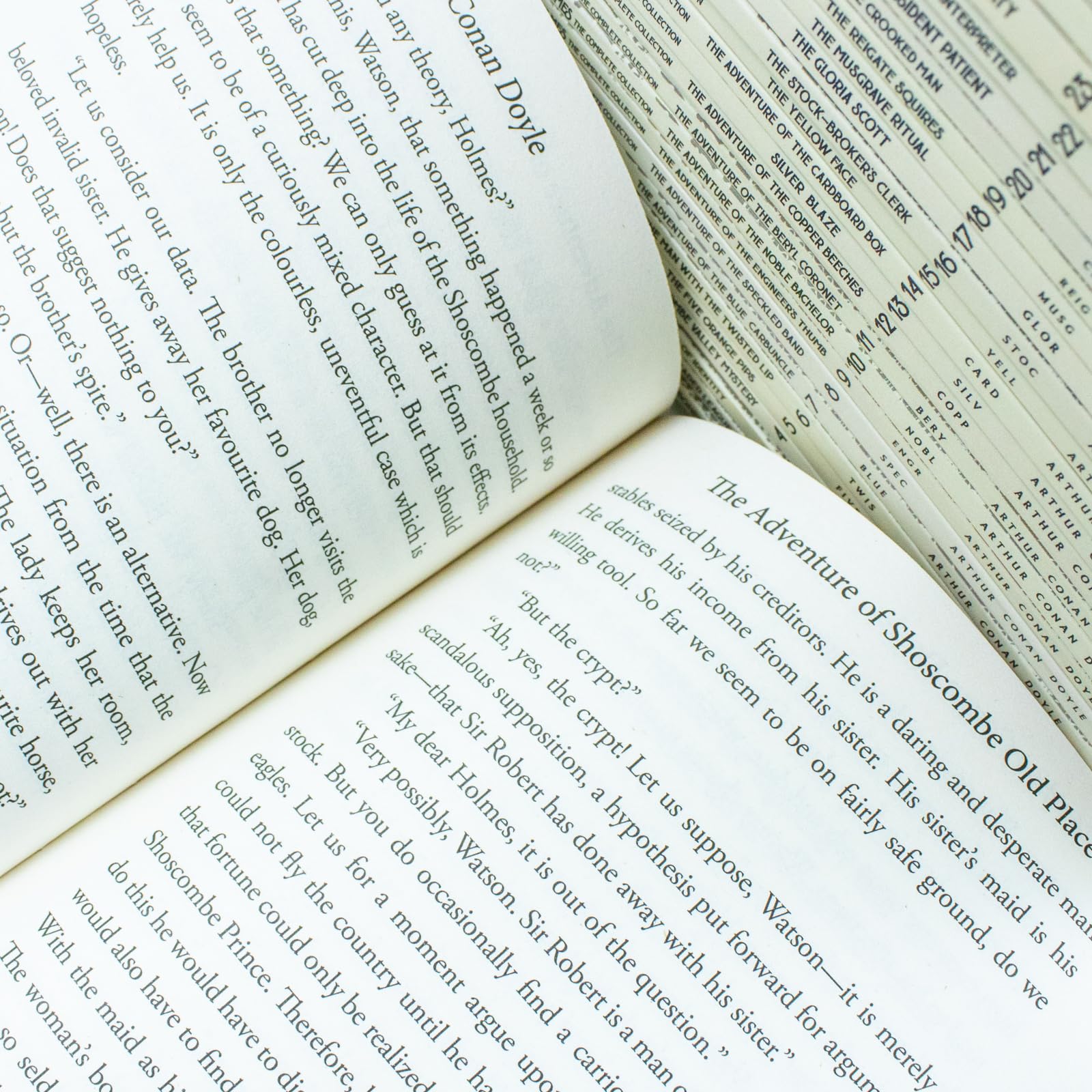 Close-up detail shot of the Sherlock Holmes Complete Short Stories Collection paperback cover art.