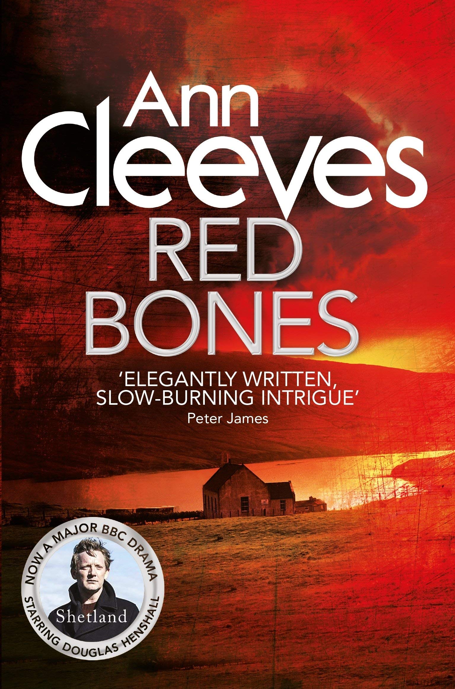 Dead Water paperback cover, book 5 in Ann Cleeves' Shetland crime series