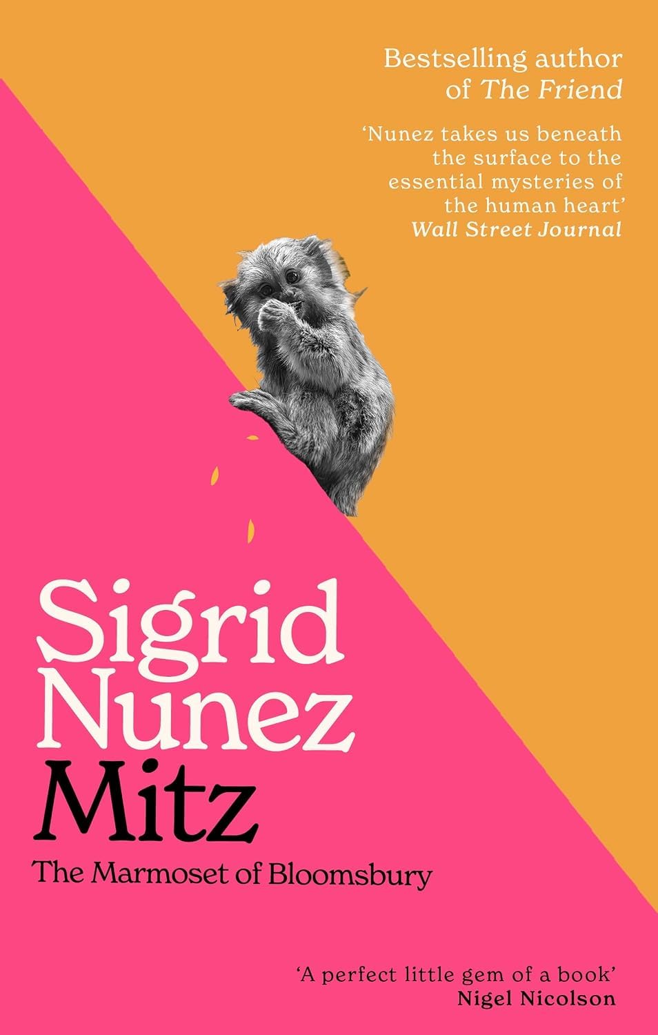 Front cover of For Rouenna by Sigrid Nunez, paperback novel