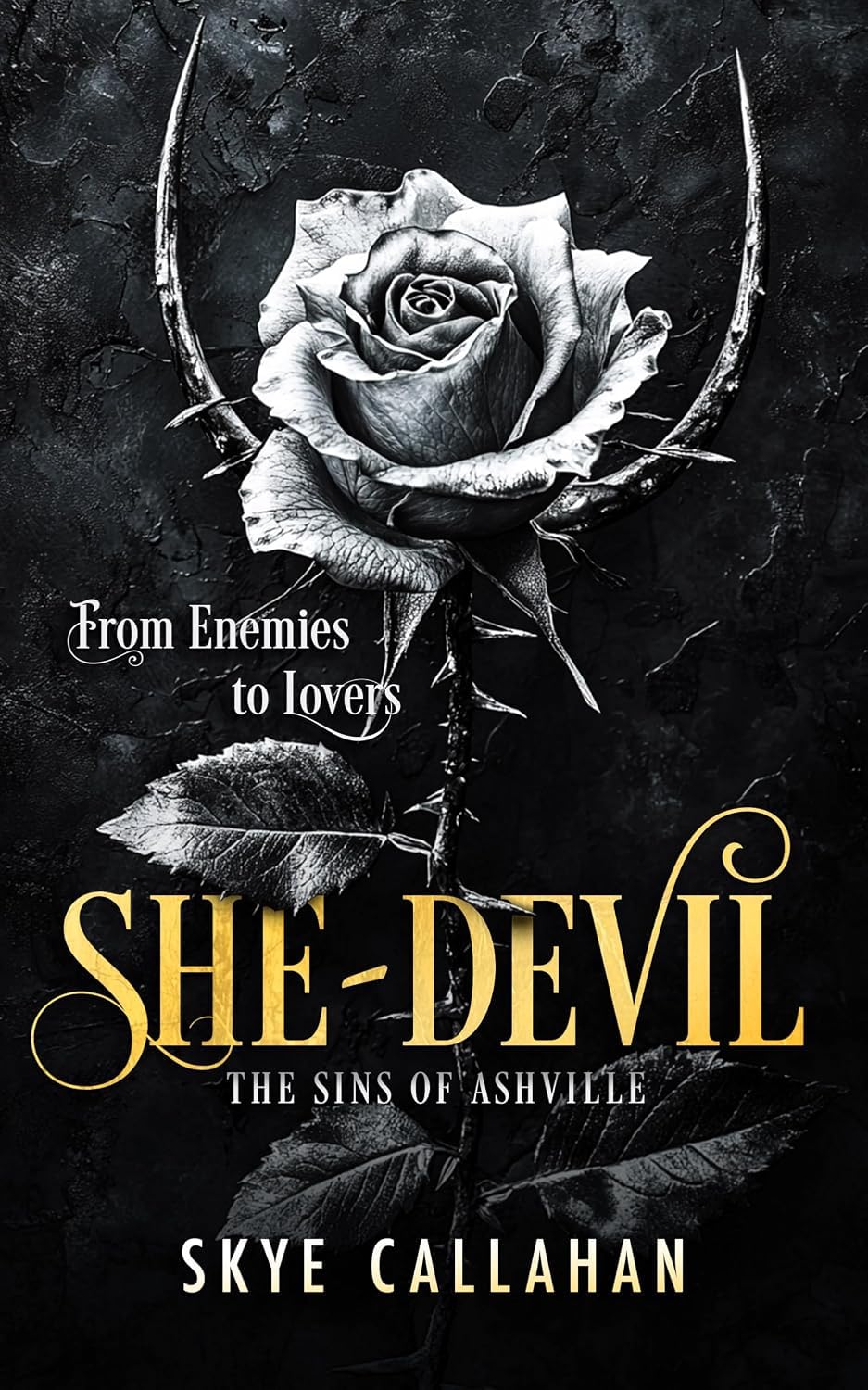 Stacked view of the Sins of Ashville 4-book paperback collection set by Skye Callahan
