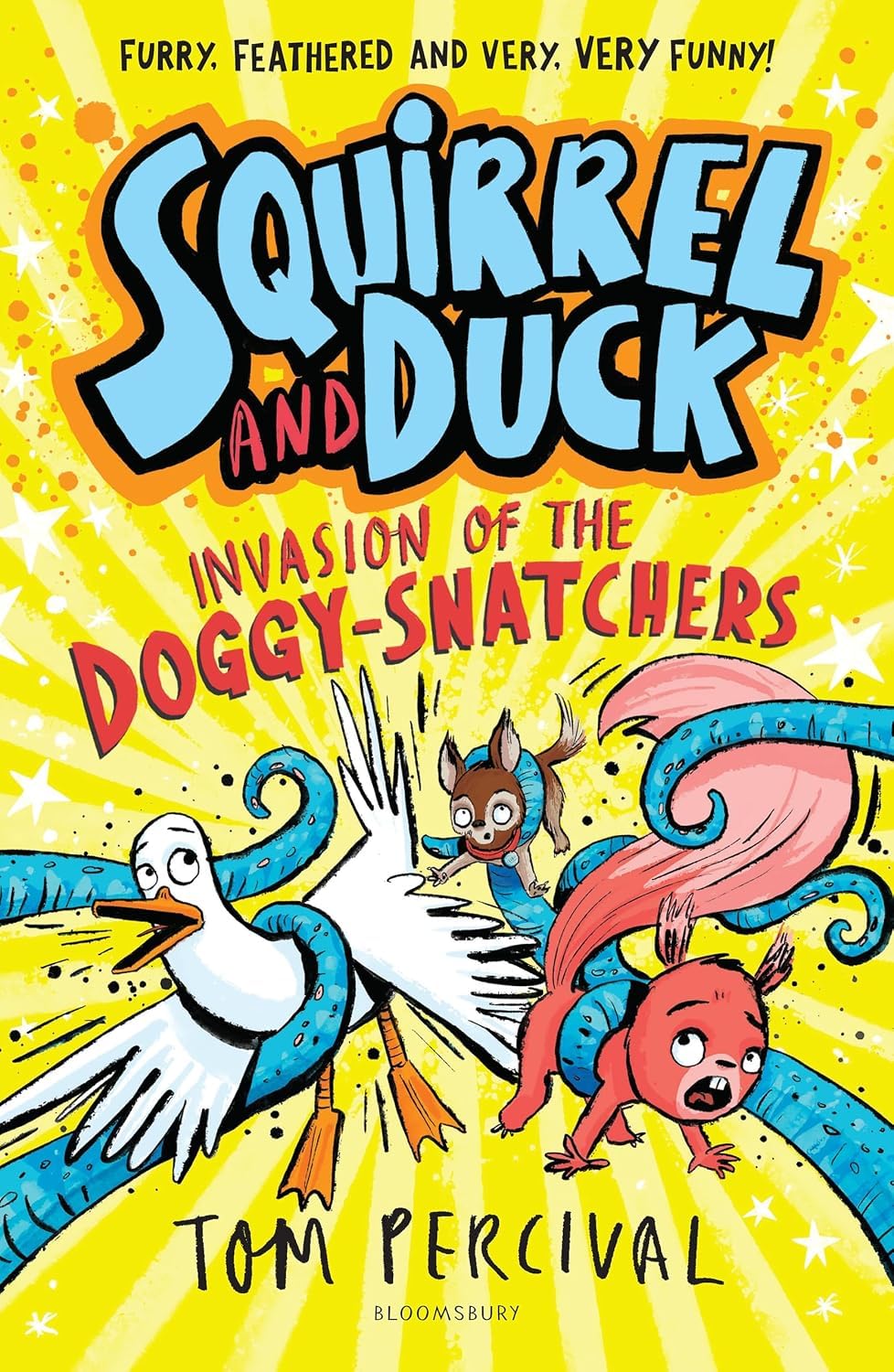 Back cover blurb and synopsis view of the Squirrel and Duck paperback chapter book set by Tom Percival