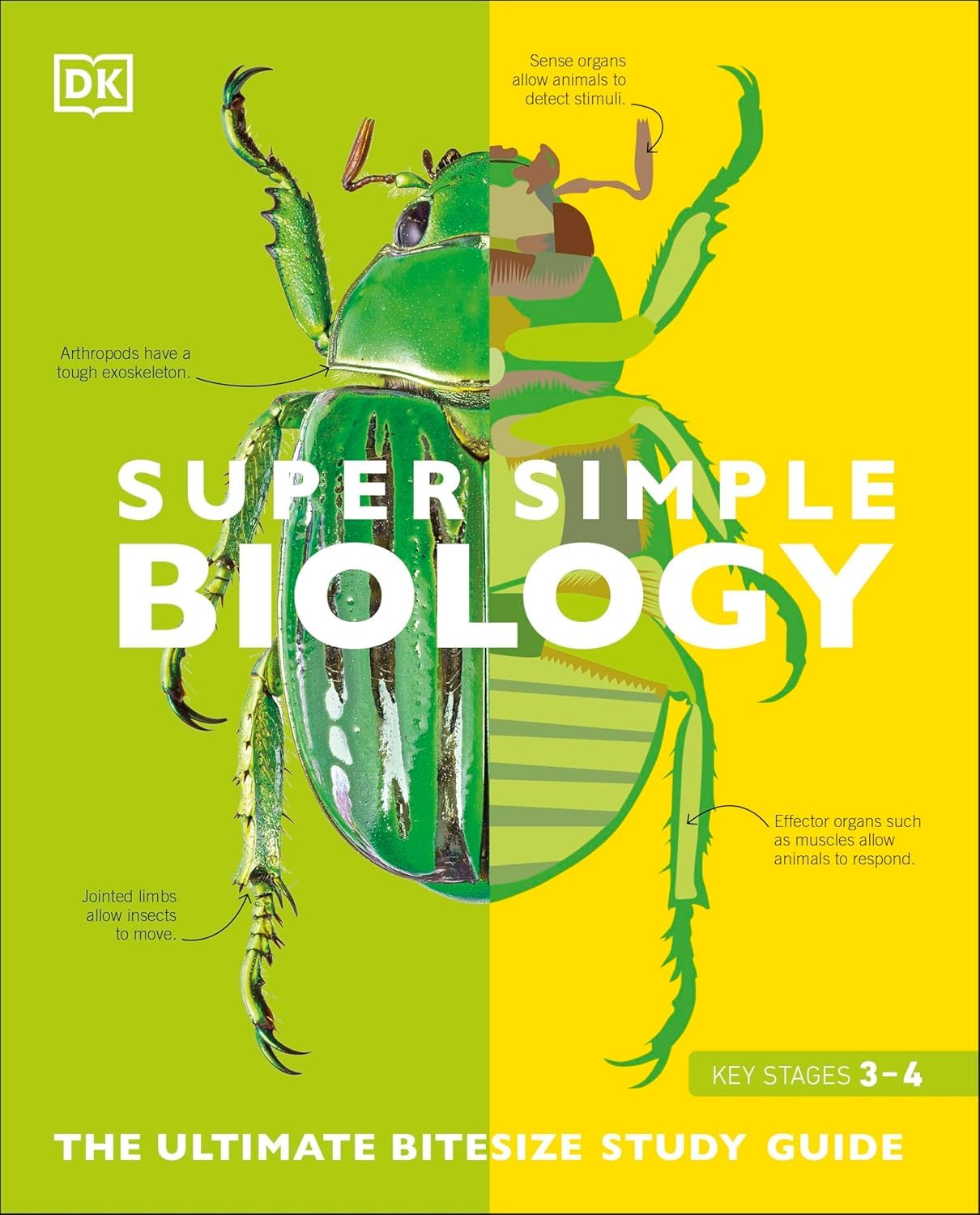 Inside page spread from a Super Simple DK paperback showing colorful diagrams and bitesize revision text.
