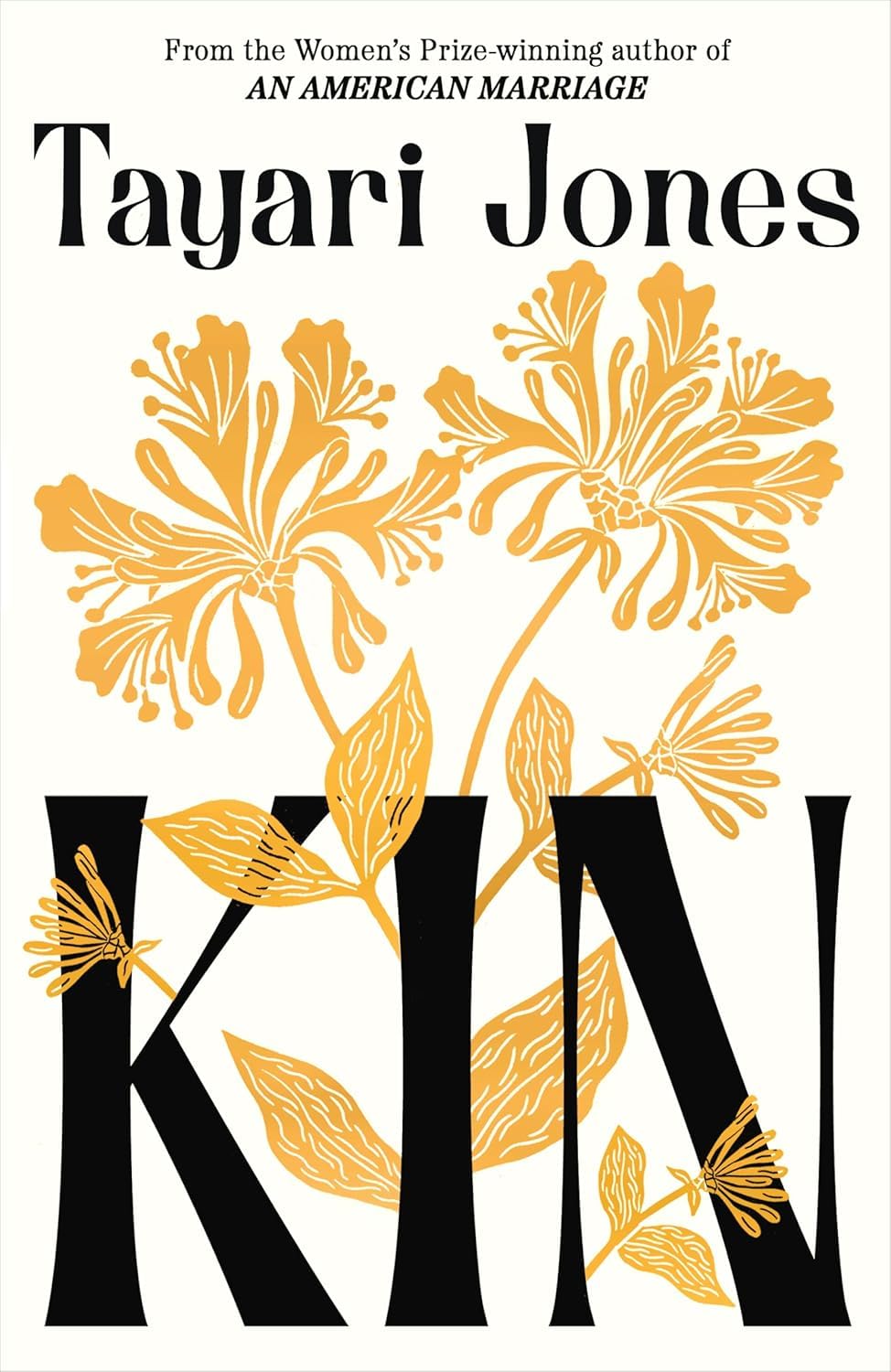 Back cover synopsis of the Tayari Jones 3-book set showing Kin, An American Marriage, and Silver Sparrow