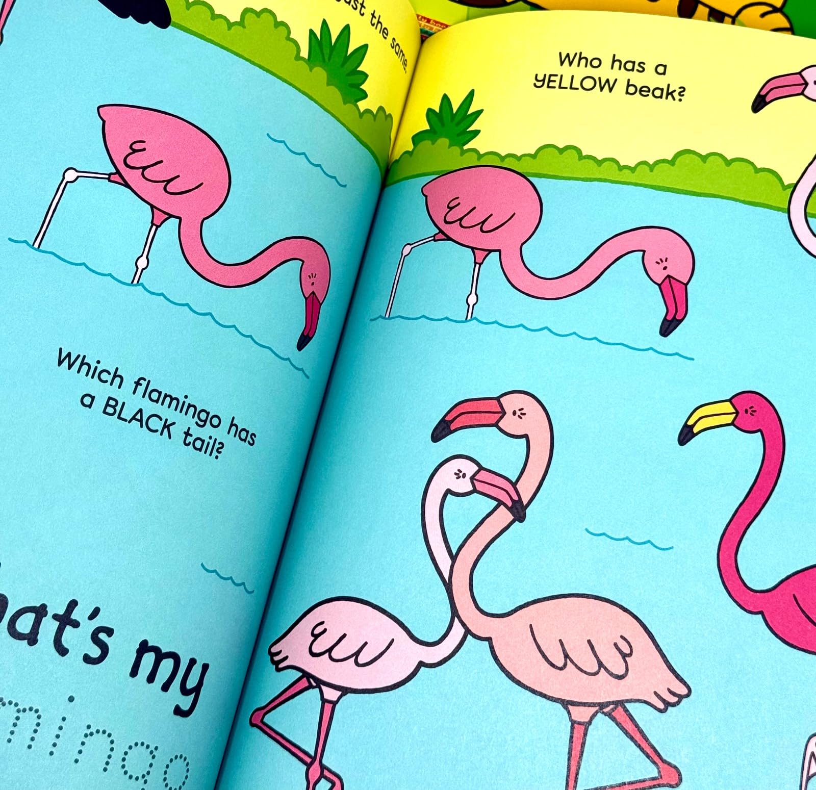 Inside page spread from a That's Not My Activity Book showing write-in coloring and drawing activities with the hidden white mouse