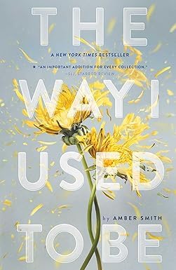 Back cover synopsis of The Way I Used to Be paperback boxed set by Amber Smith