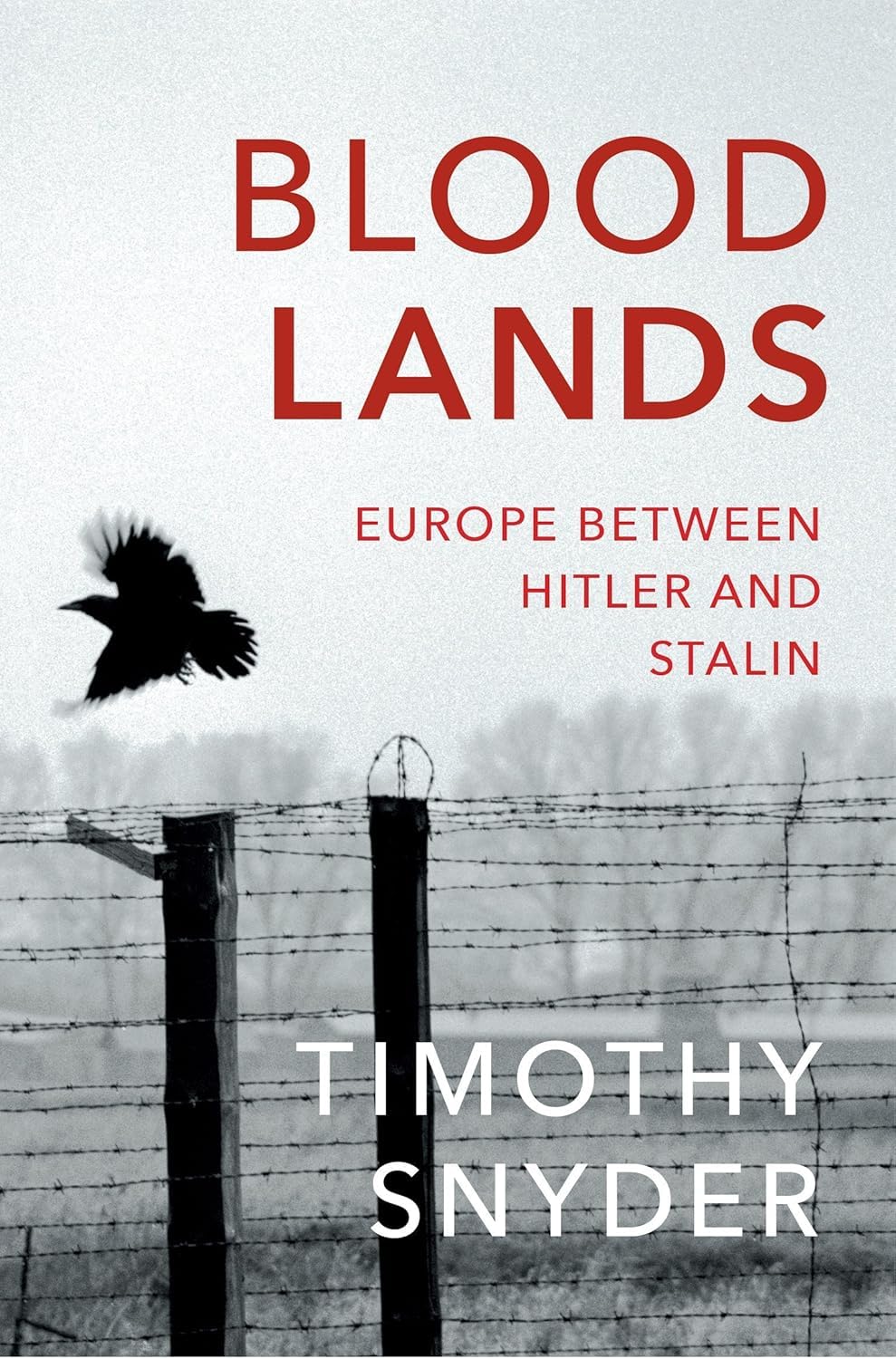 On Tyranny by Timothy Snyder - back cover with synopsis and reviews