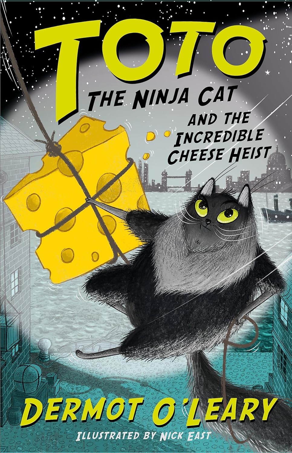 Toto the Ninja Cat and the Legend of the Wildcat paperback front cover, book 5 in the series
