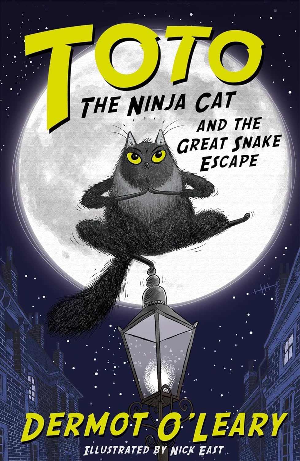 Toto the Ninja Cat and the Pirate Treasure Hunt paperback front cover, book 6 in the series, shown with the full 6-book set fanned out