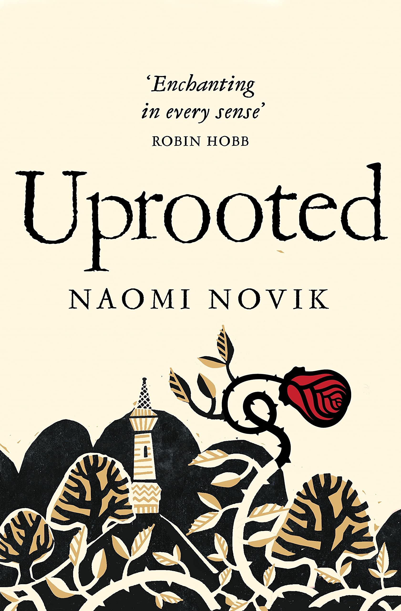 Back cover synopsis and details of the Uprooted and Spinning Silver paperback set