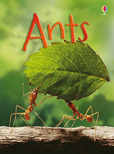 All 20 Usborne Beginners History and Nature paperback books fanned out, showing colorful covers including Castles, Vikings, and Ants.