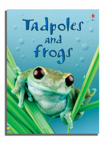 Close-up of several Usborne Beginners paperback covers showing full-color illustrations and titles in the 20-book set.