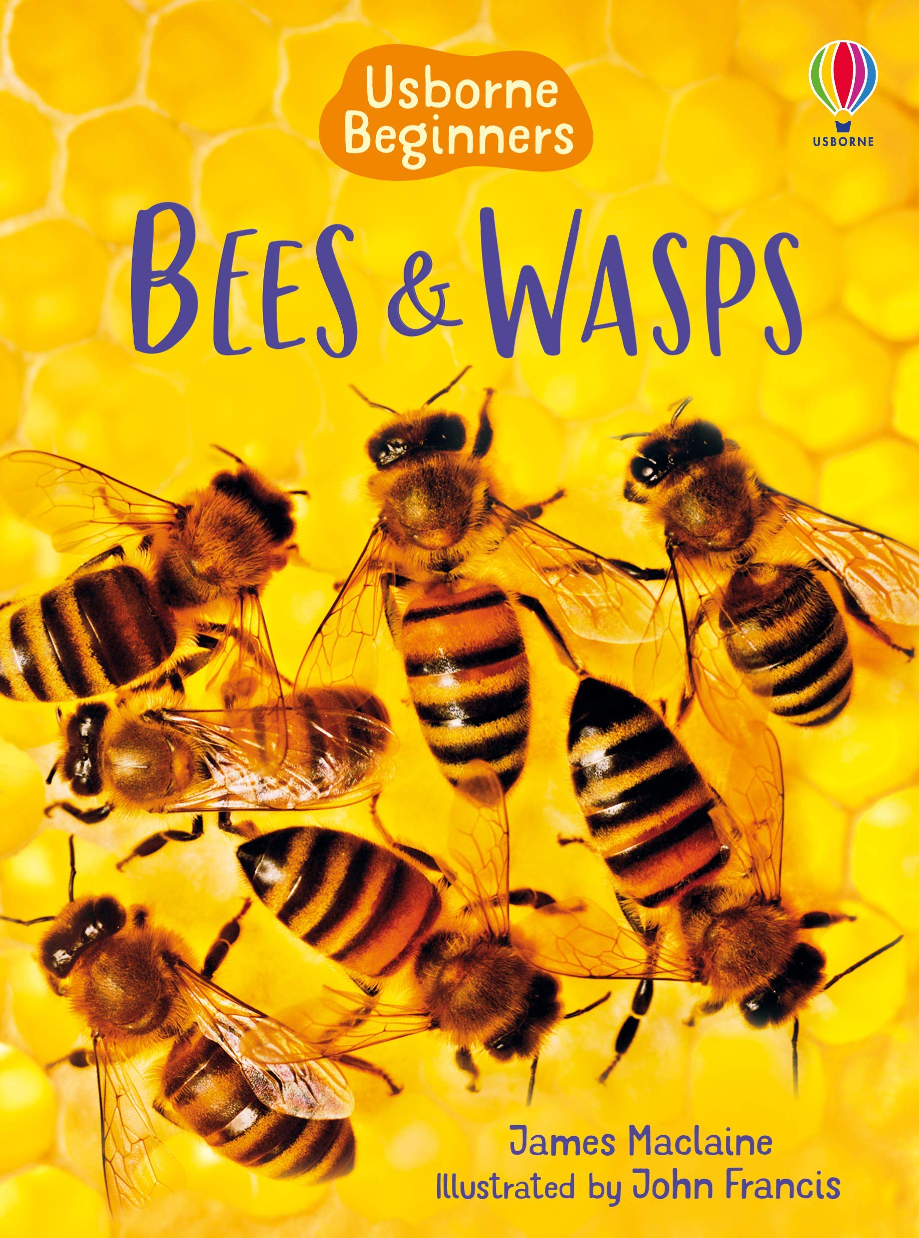 Usborne Beginners Nature collection - Bees & Wasps and Caterpillars & Butterflies paperback covers