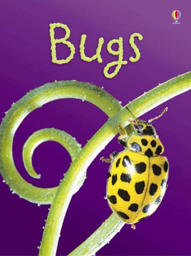 Usborne Beginners Nature 10 Books Collection Set - back covers showing series details and age range