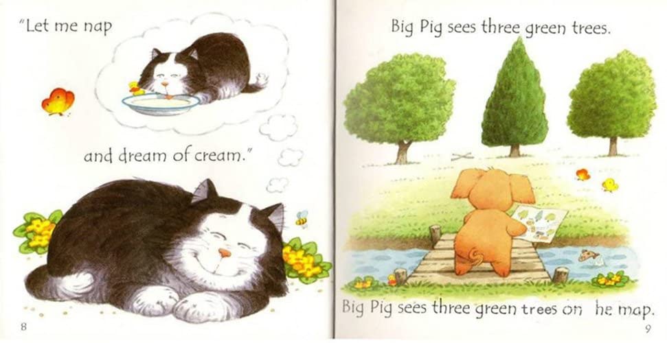 Close-up of several Usborne Phonics Readers titles including Big Pig on a Dig and Fox on a Box