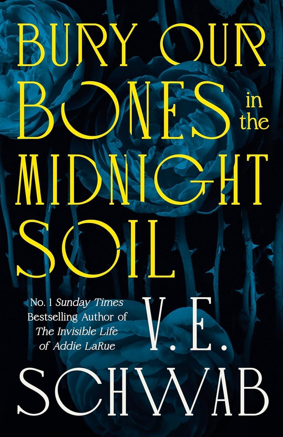 Back cover and spines of the V.E. Schwab 2-book collection set showing both titles side by side