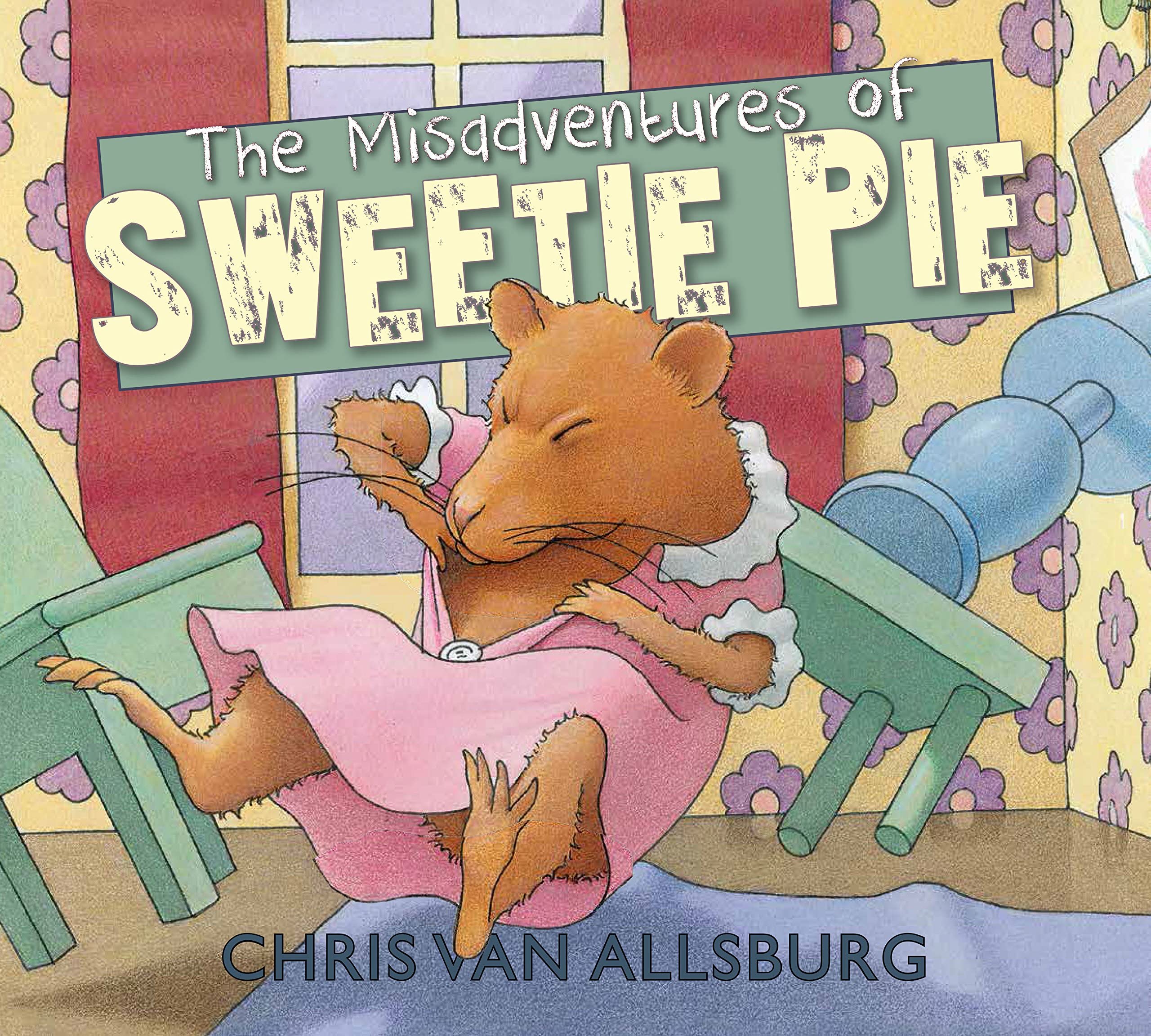 Back cover of the Chris Van Allsburg 5 book paperback collection listing all five included titles