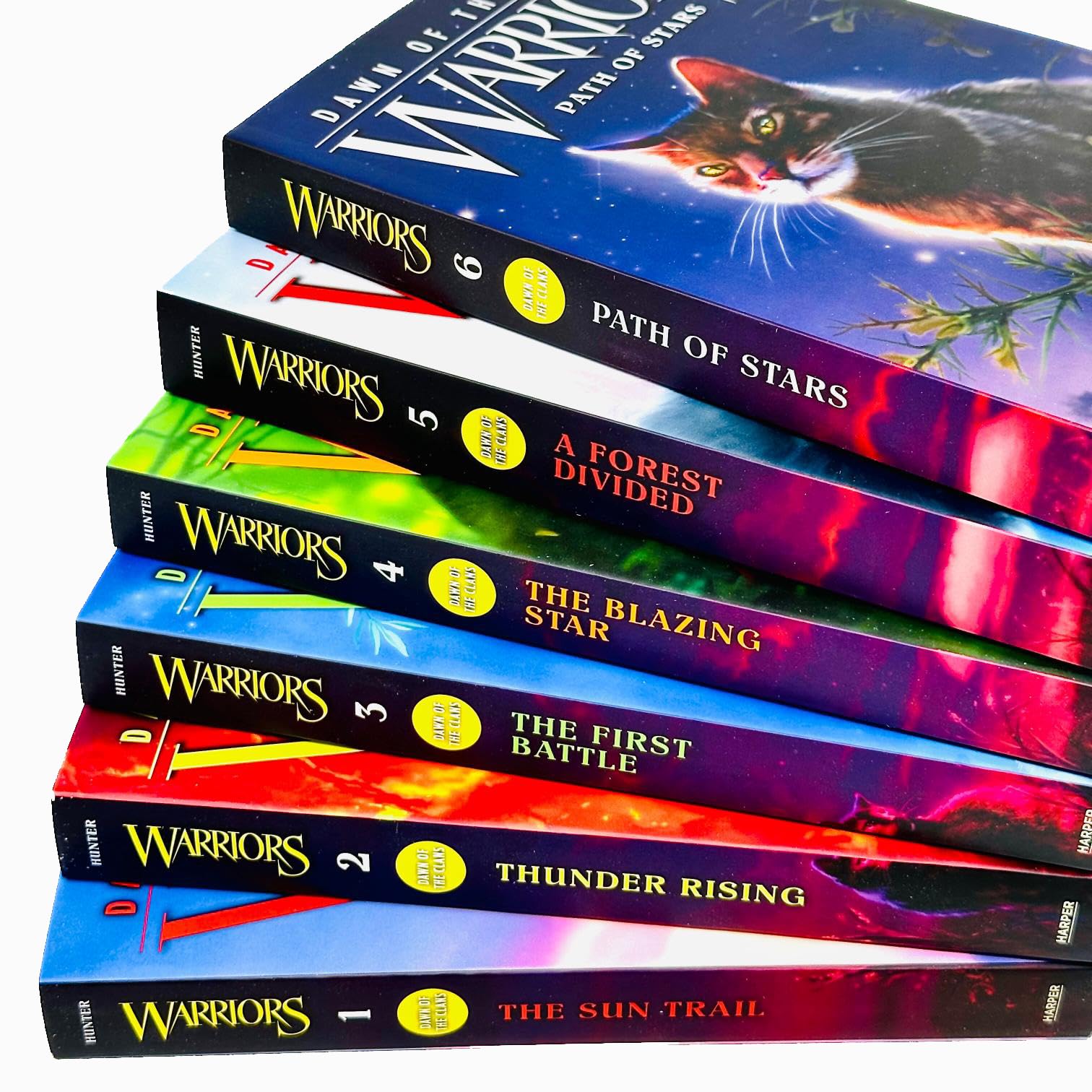 All 6 Dawn of the Clans paperback books by Erin Hunter fanned out showing spines