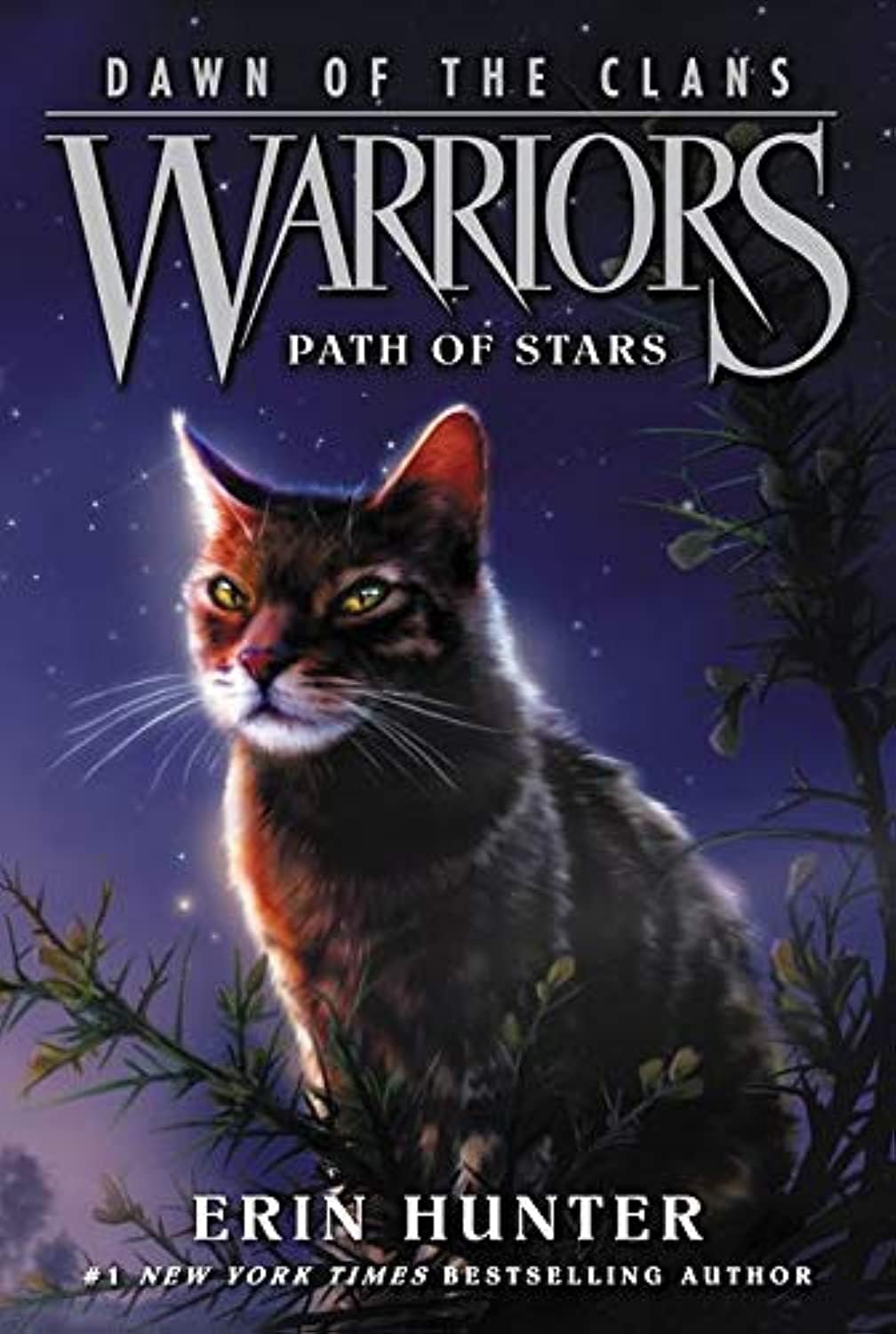 Full Dawn of the Clans 6 books collection set by Erin Hunter displayed together