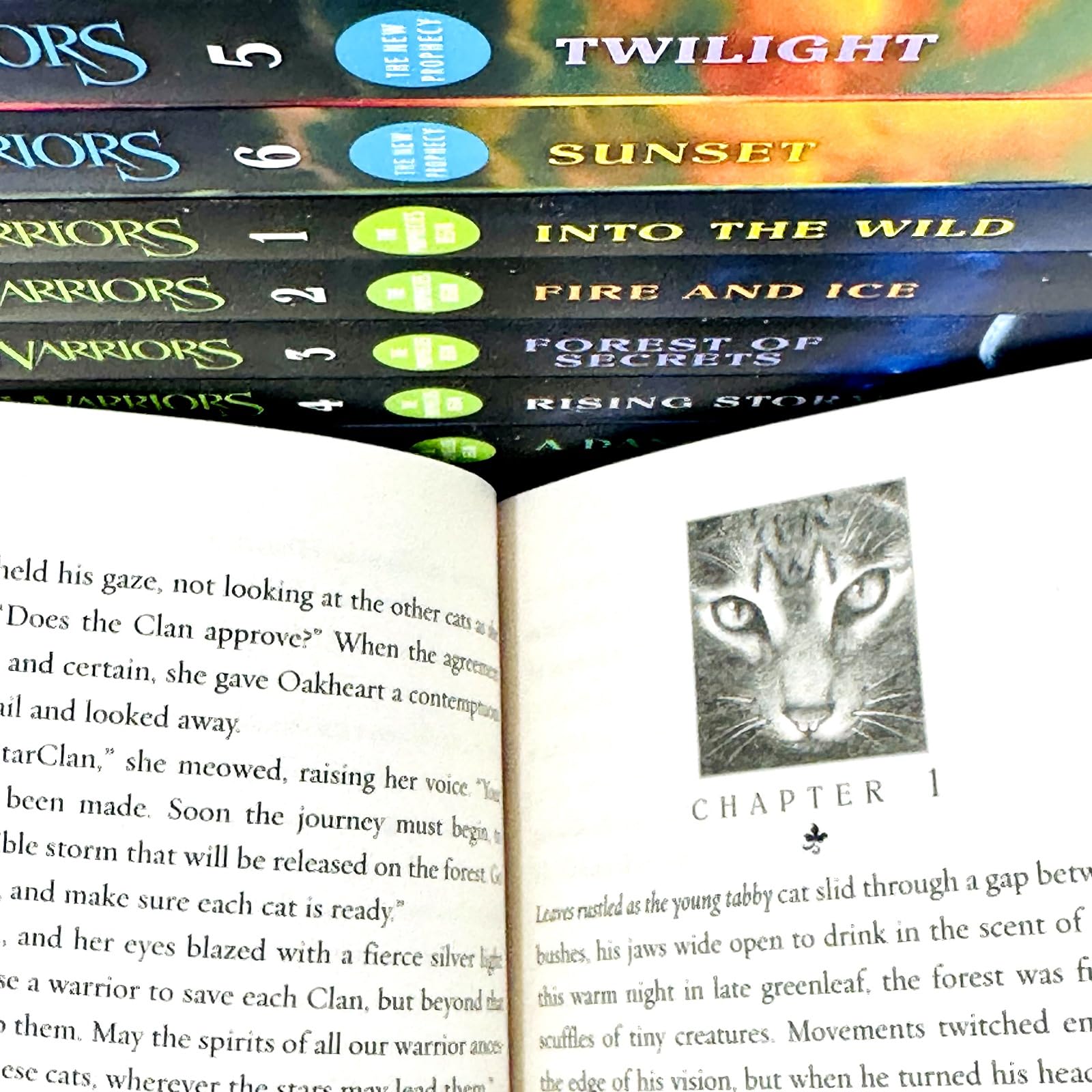 Stacked Warriors 12 book collection set by Erin Hunter showing shrink-wrapped paperback packaging