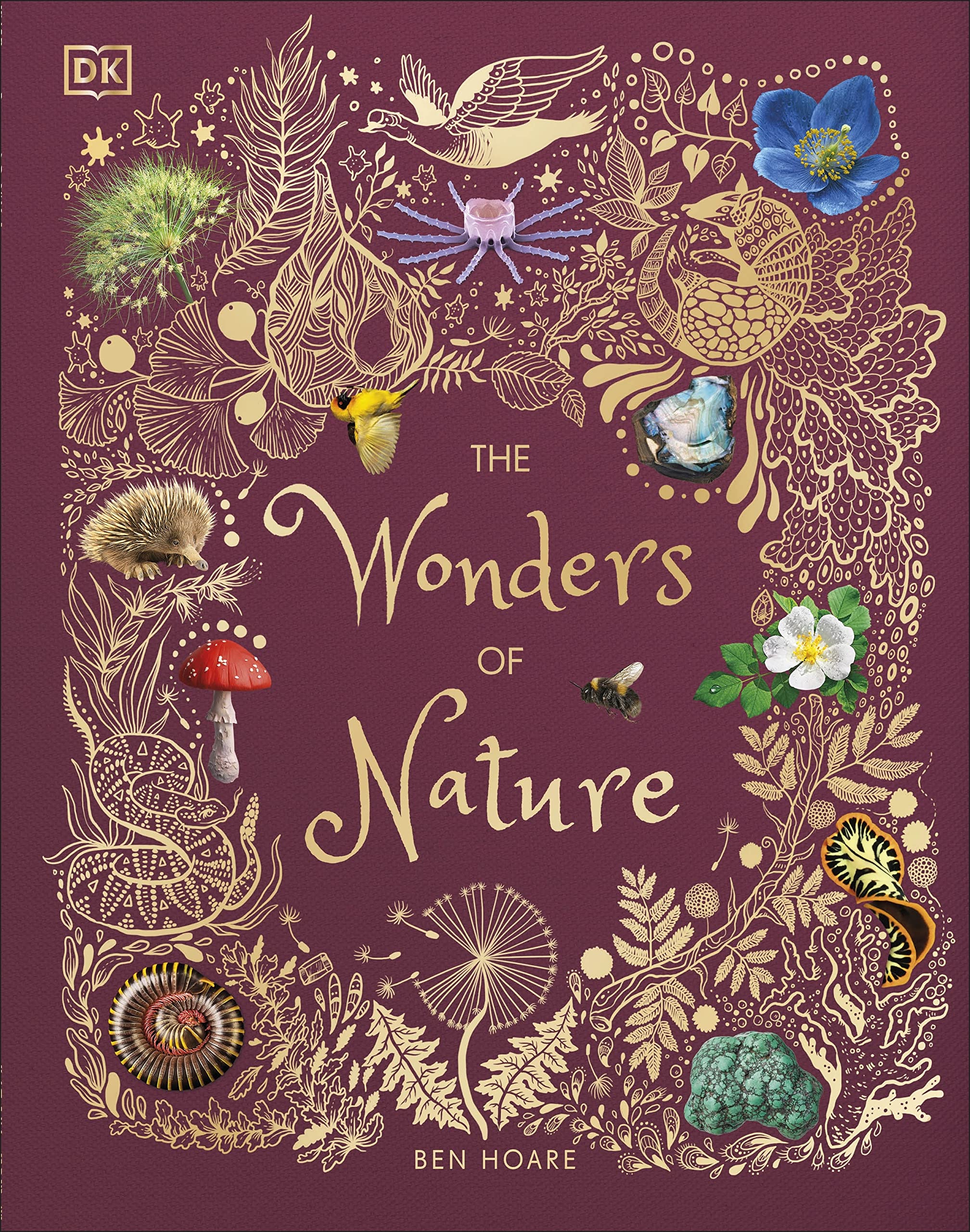 The Wonders of Nature by Ben Hoare - hardcover front cover with gold foil jacket detail, DK Children's Anthologies nature encyclopedia for ages 7-9