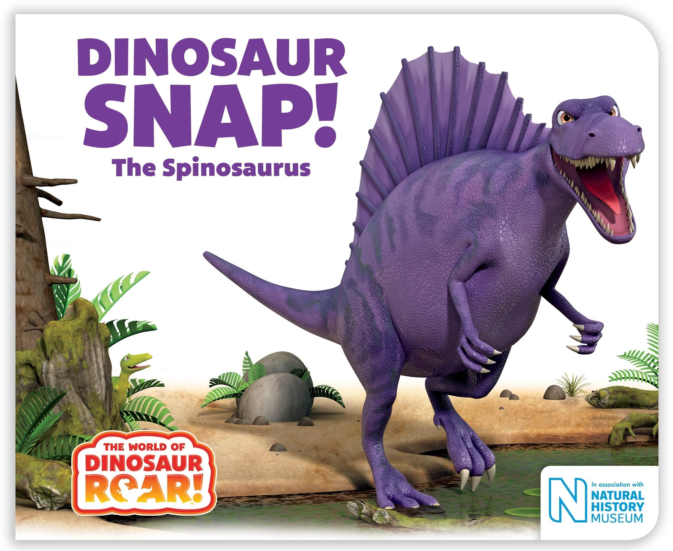 World of Dinosaur Roar 4 board book set by Peter Curtis, Macmillan Children's Books, shown as a complete collection for ages 3-5.
