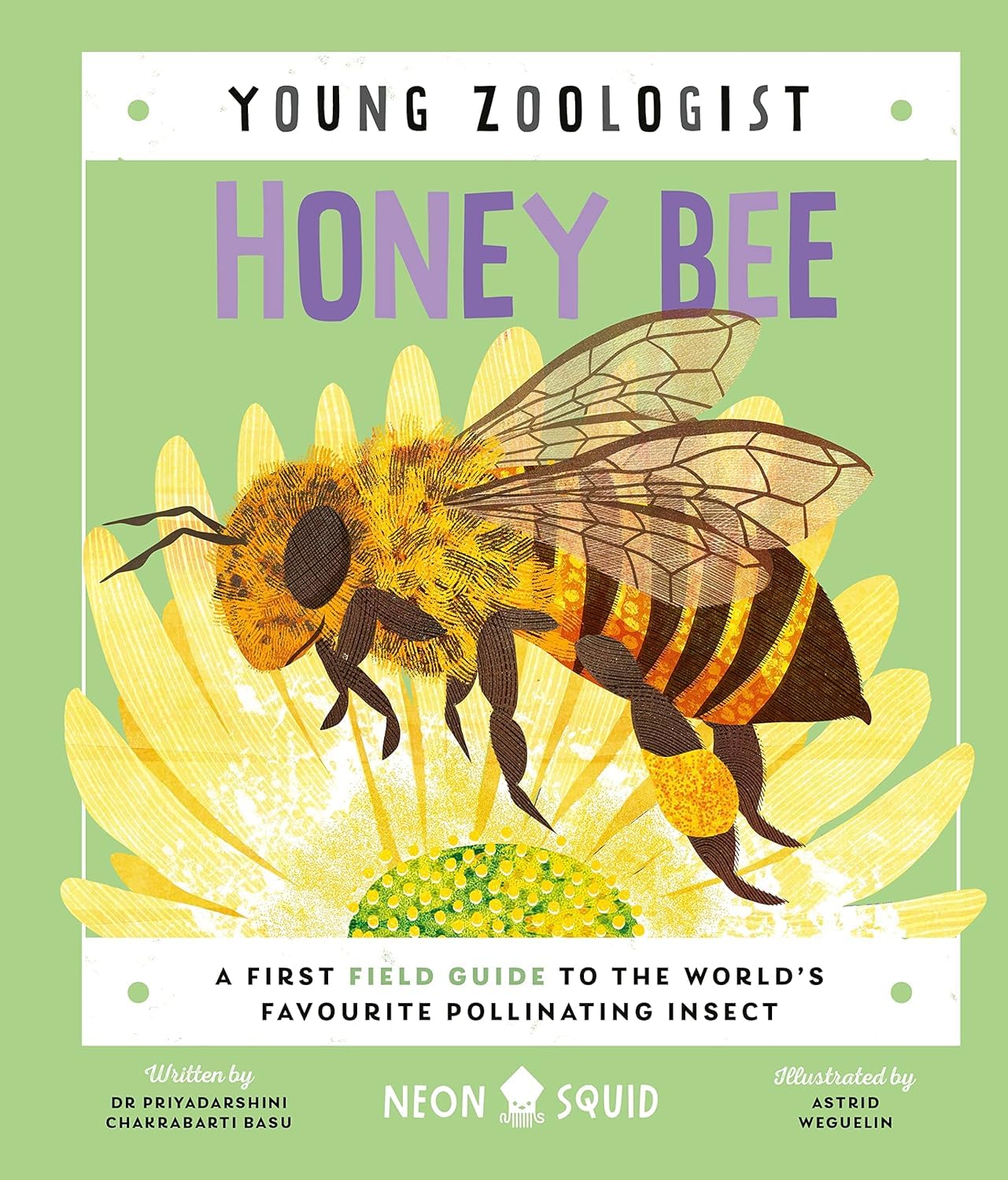 Young Zoologist 9-book hardback set stacked at an angle, showing thickness and durable binding